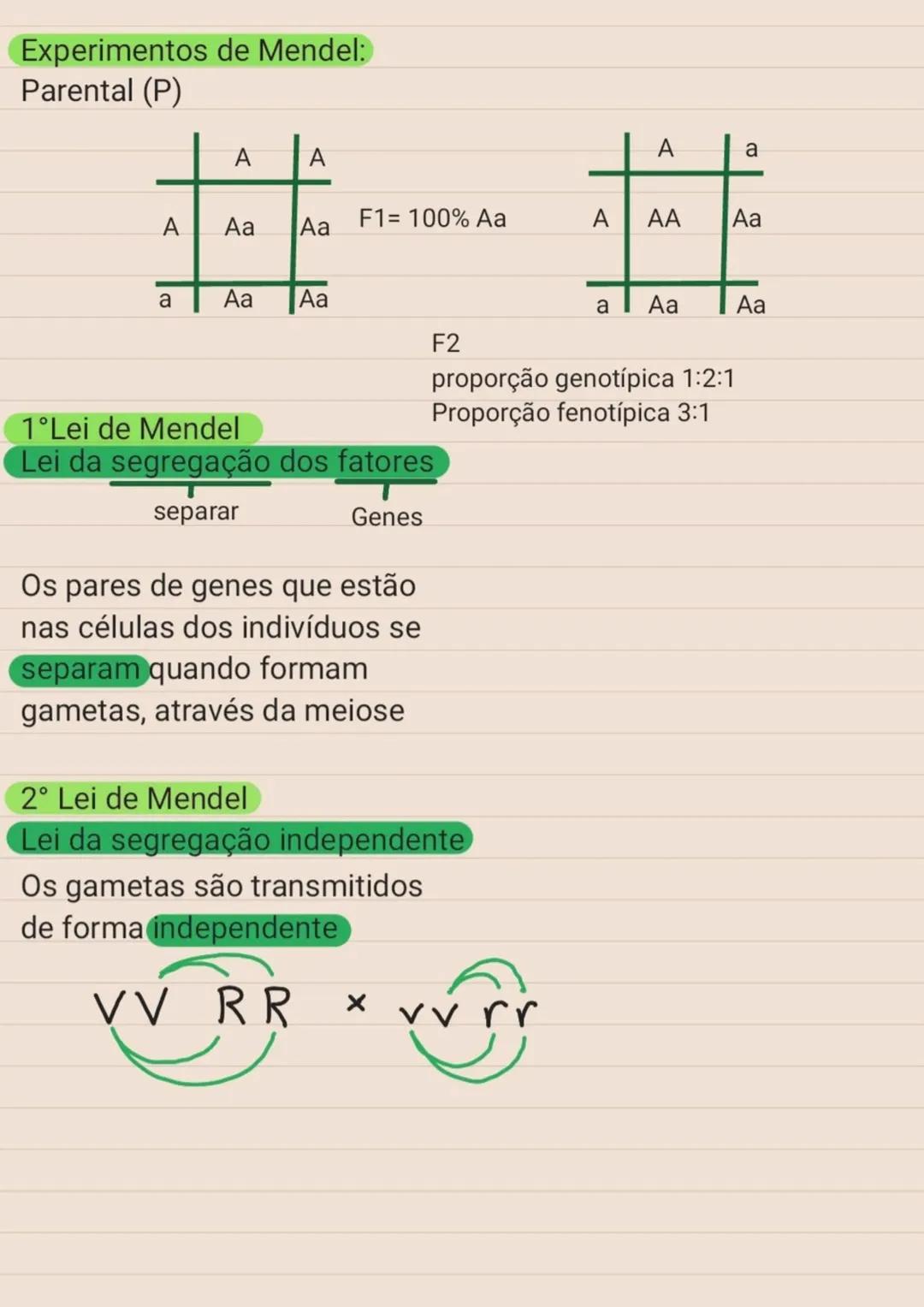 # Genética
Herança biológica:
É o conjunto de caracteristicas transmitidas dos
pais filhos por meio do material genético
Responsável pela s