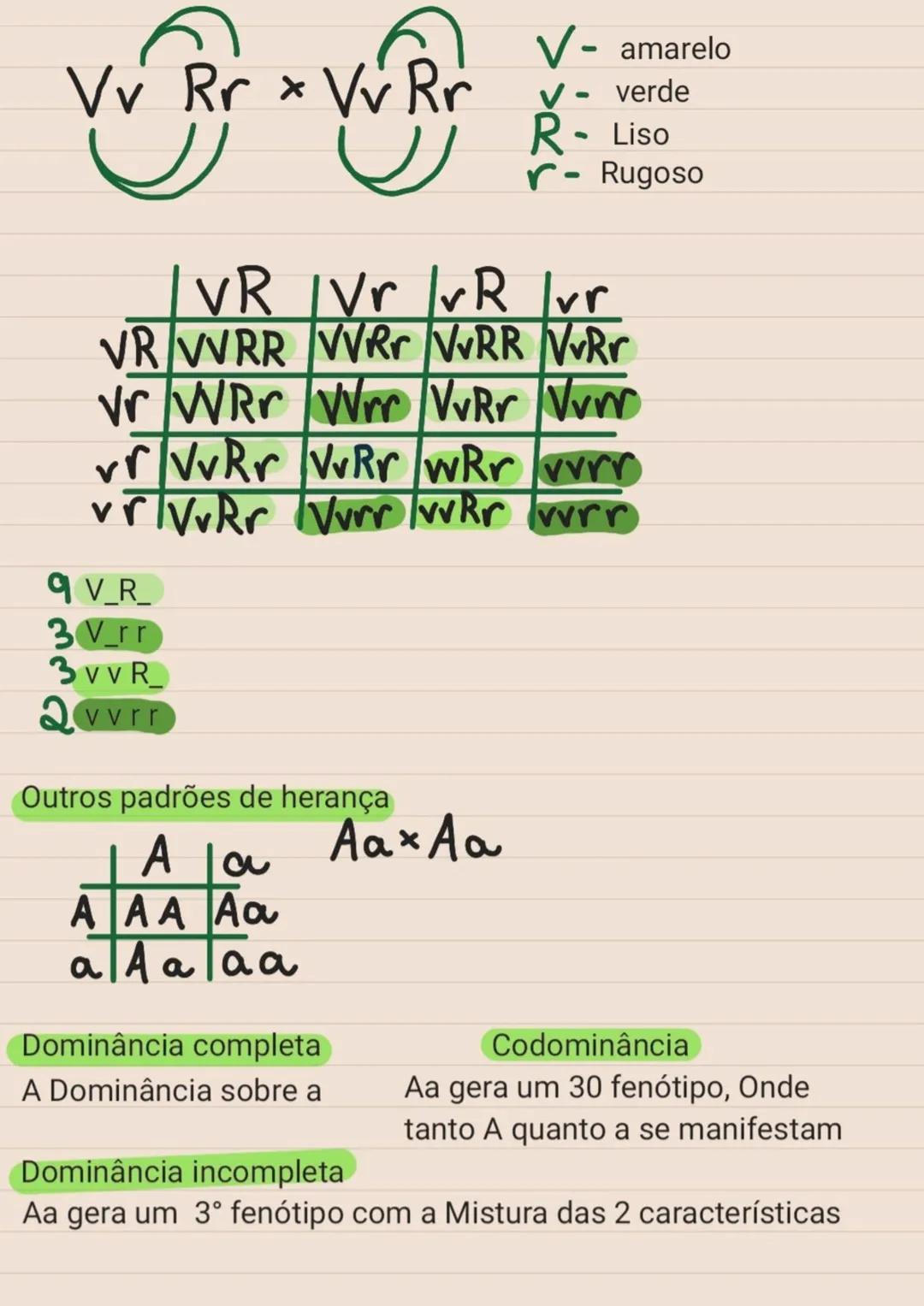 # Genética
Herança biológica:
É o conjunto de caracteristicas transmitidas dos
pais filhos por meio do material genético
Responsável pela s