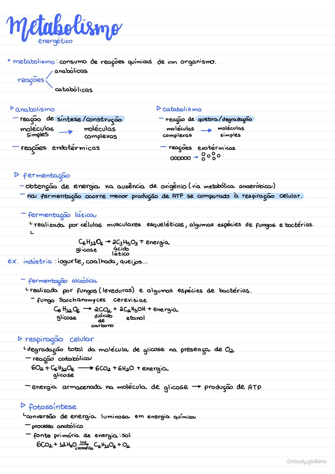 Metabolismo Energético