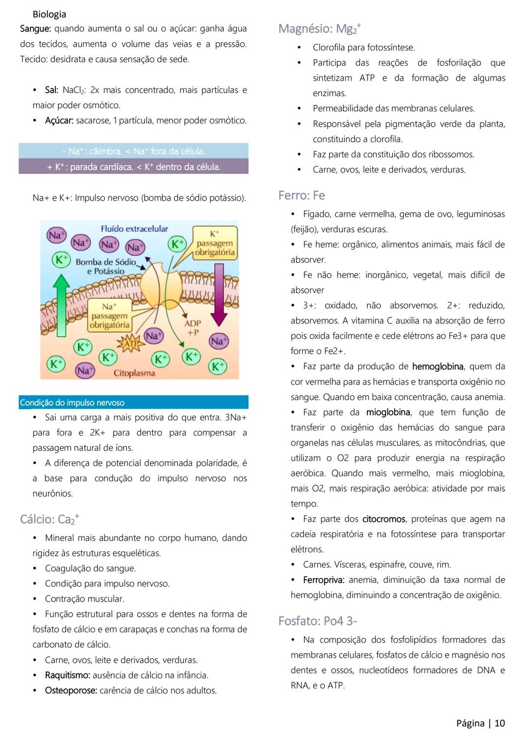 Biologia
Ácidos nucleicos
20
Sumário
RNA..
21
Introdução à biologia.
5
Ribossomos
22
Composição química.
.5
Engenharia genética.
22
Organiza