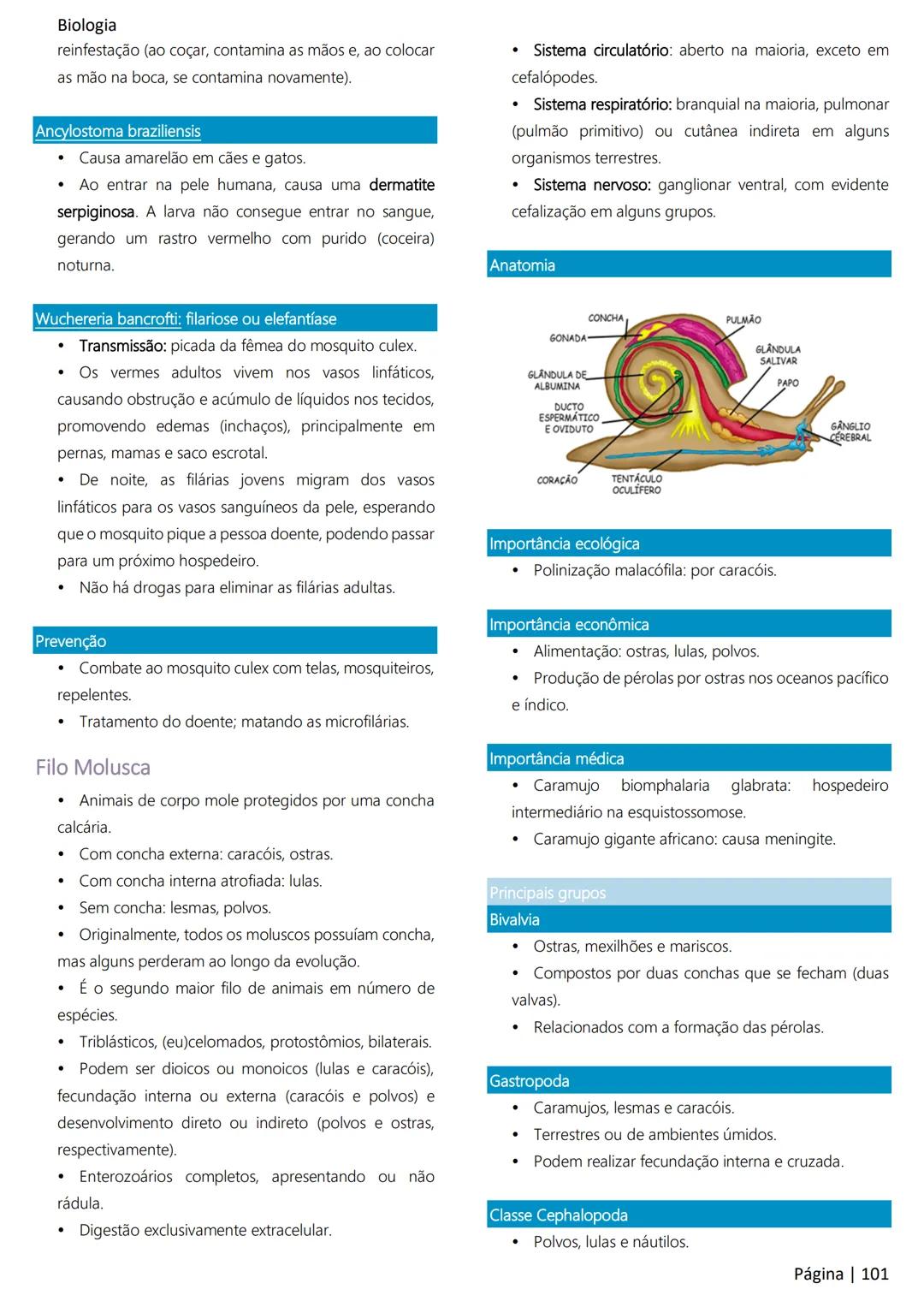 Biologia
Ácidos nucleicos
20
Sumário
RNA..
21
Introdução à biologia.
5
Ribossomos
22
Composição química.
.5
Engenharia genética.
22
Organiza