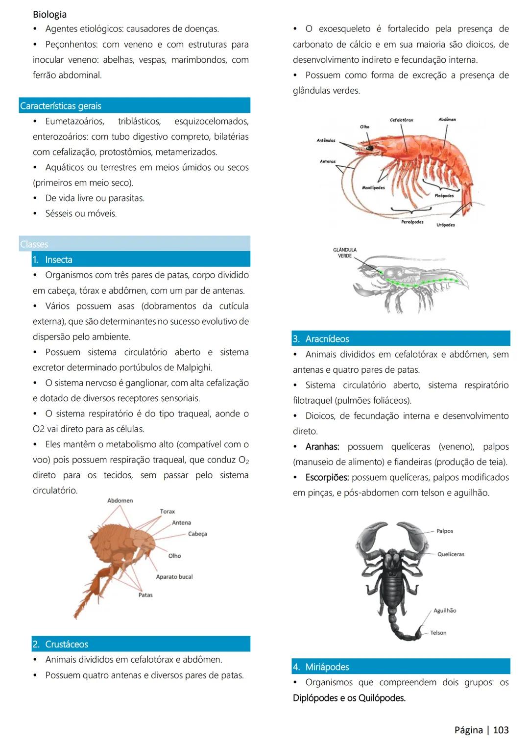 Biologia
Ácidos nucleicos
20
Sumário
RNA..
21
Introdução à biologia.
5
Ribossomos
22
Composição química.
.5
Engenharia genética.
22
Organiza