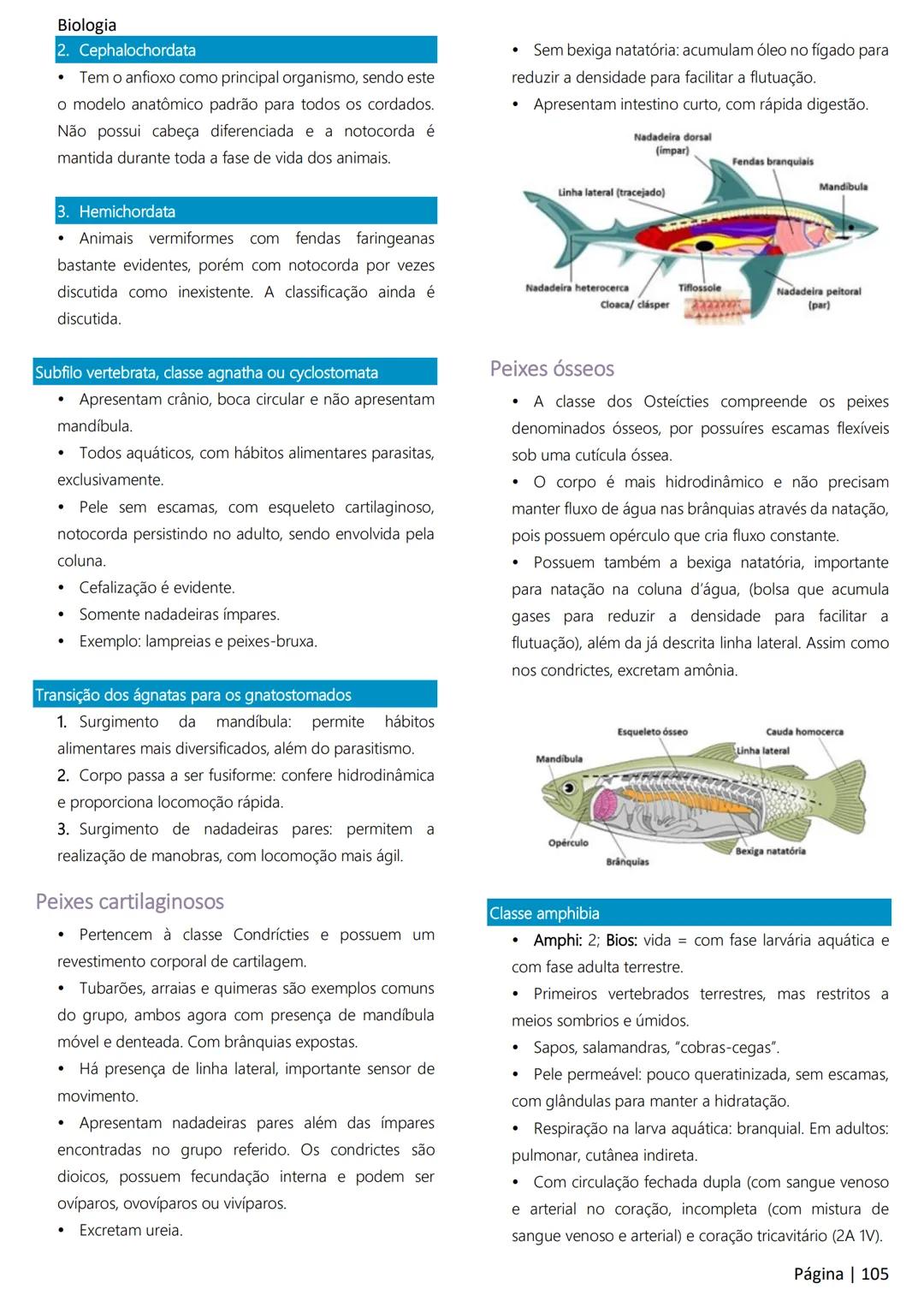 Biologia
Ácidos nucleicos
20
Sumário
RNA..
21
Introdução à biologia.
5
Ribossomos
22
Composição química.
.5
Engenharia genética.
22
Organiza