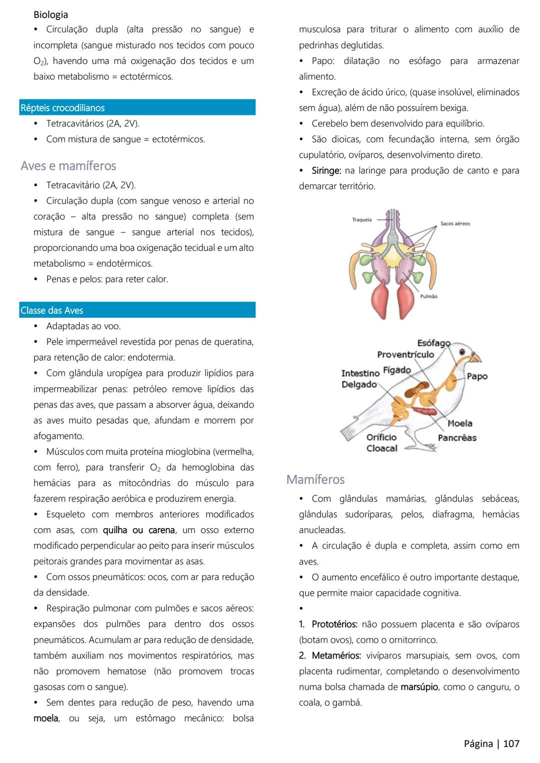 Biologia
Ácidos nucleicos
20
Sumário
RNA..
21
Introdução à biologia.
5
Ribossomos
22
Composição química.
.5
Engenharia genética.
22
Organiza