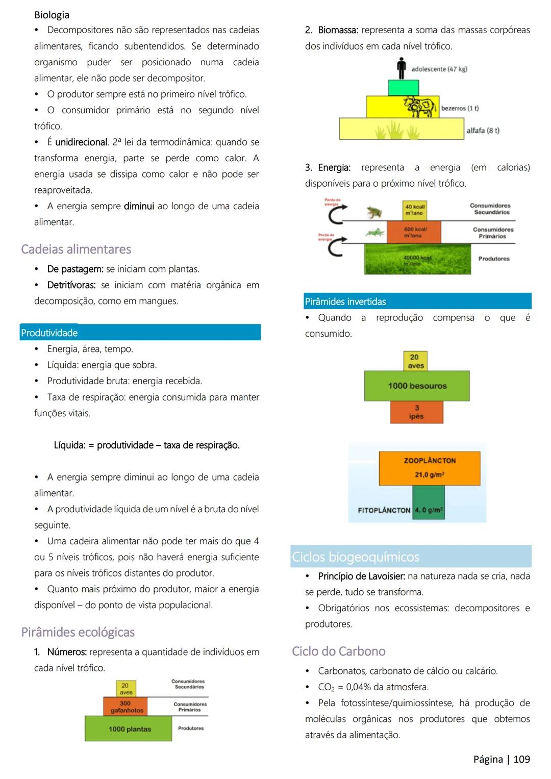 Biologia
Ácidos nucleicos
20
Sumário
RNA..
21
Introdução à biologia.
5
Ribossomos
22
Composição química.
.5
Engenharia genética.
22
Organiza