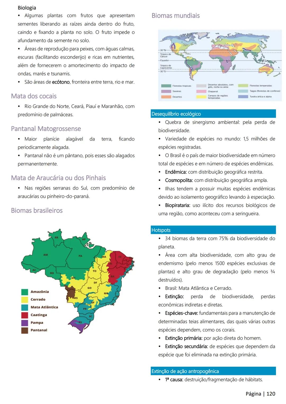 Biologia
Ácidos nucleicos
20
Sumário
RNA..
21
Introdução à biologia.
5
Ribossomos
22
Composição química.
.5
Engenharia genética.
22
Organiza