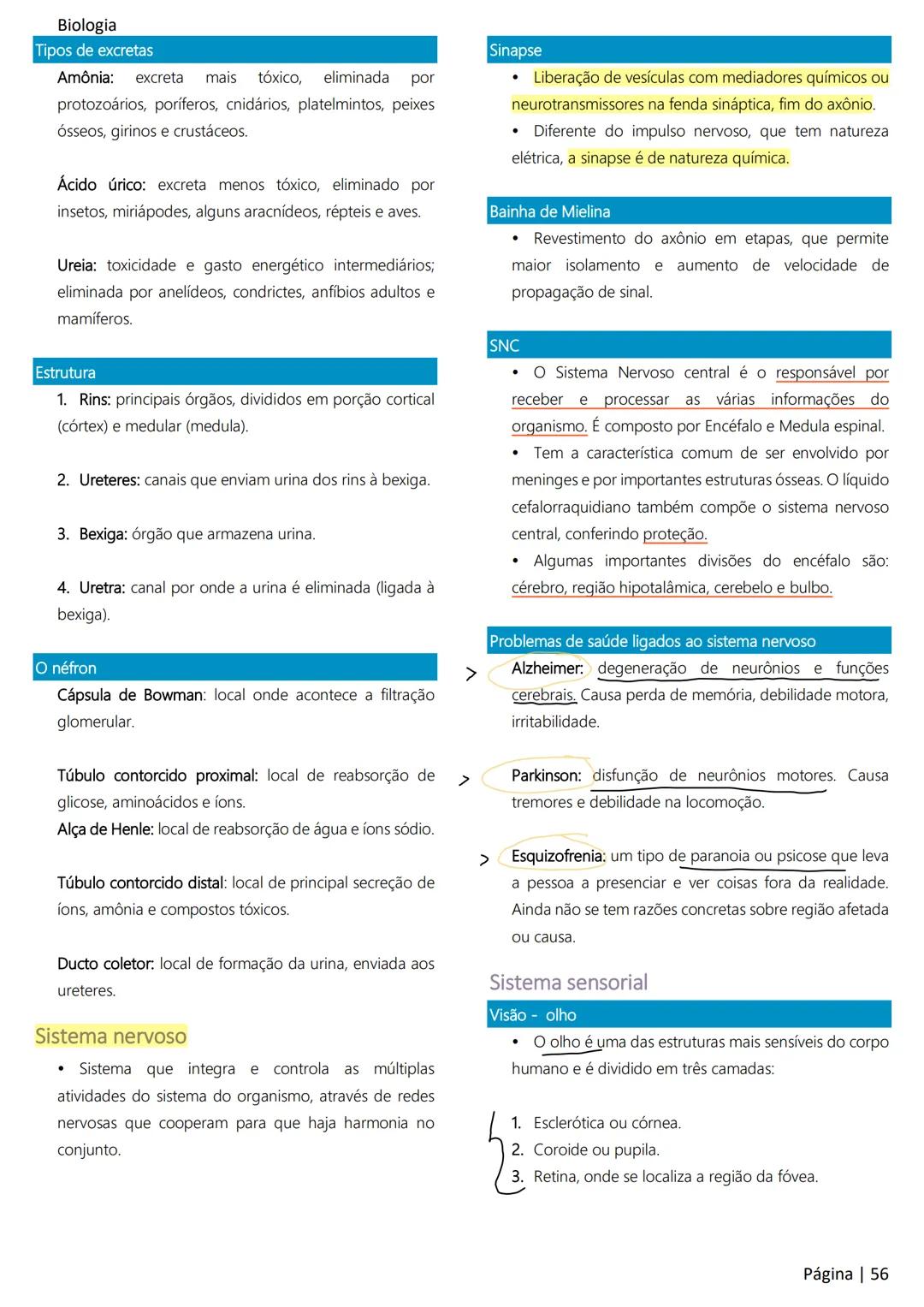 Biologia
Ácidos nucleicos
20
Sumário
RNA..
21
Introdução à biologia.
5
Ribossomos
22
Composição química.
.5
Engenharia genética.
22
Organiza
