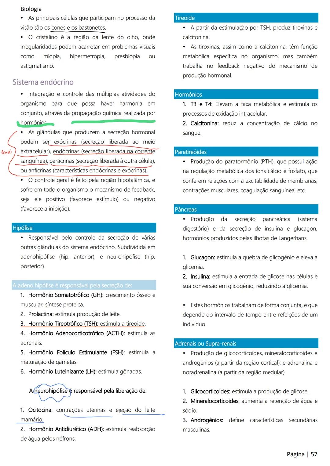 Biologia
Ácidos nucleicos
20
Sumário
RNA..
21
Introdução à biologia.
5
Ribossomos
22
Composição química.
.5
Engenharia genética.
22
Organiza