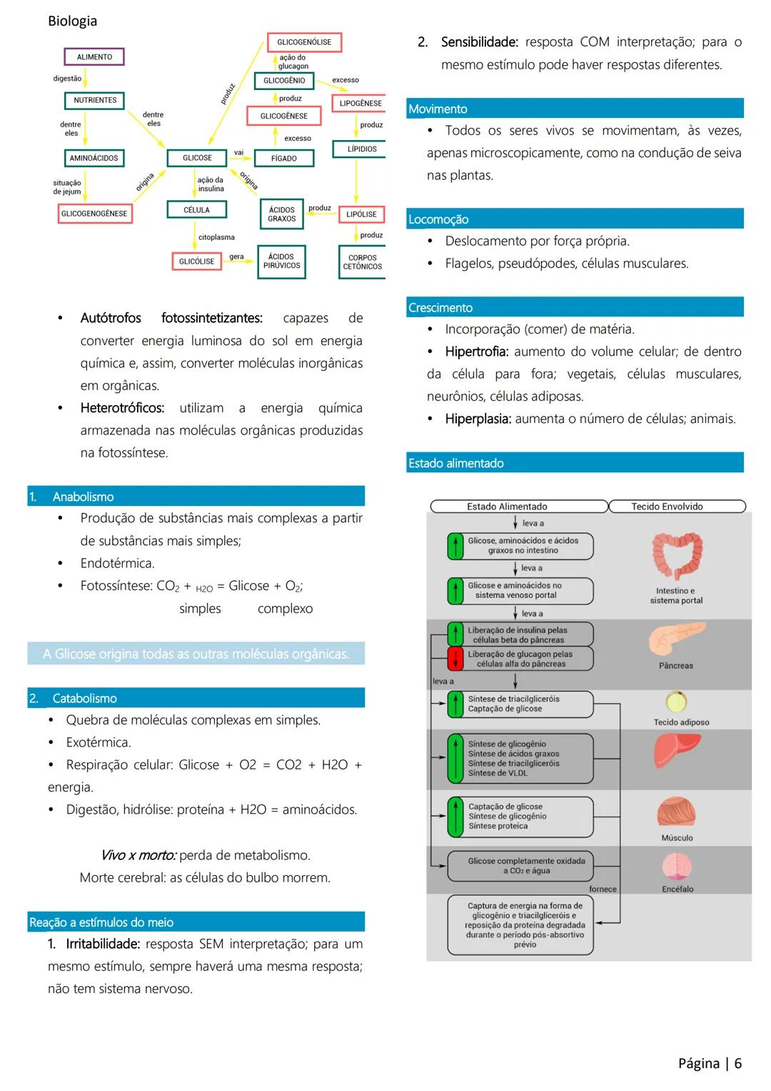 Biologia
Ácidos nucleicos
20
Sumário
RNA..
21
Introdução à biologia.
5
Ribossomos
22
Composição química.
.5
Engenharia genética.
22
Organiza