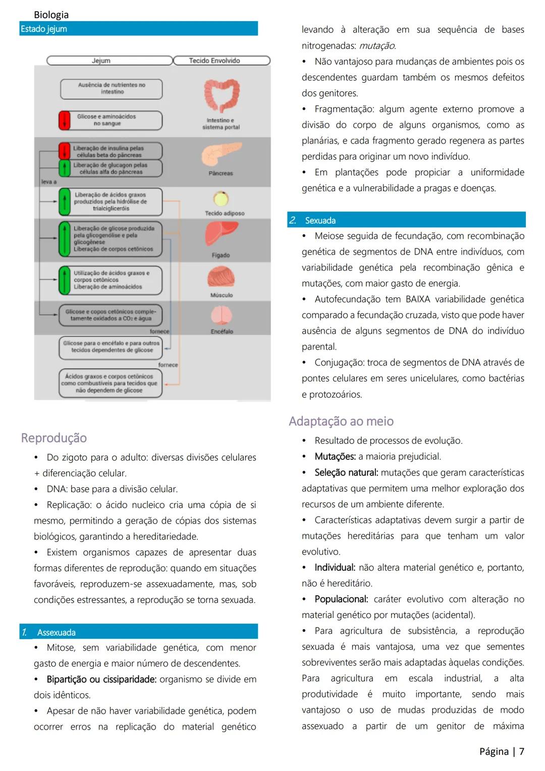 Biologia
Ácidos nucleicos
20
Sumário
RNA..
21
Introdução à biologia.
5
Ribossomos
22
Composição química.
.5
Engenharia genética.
22
Organiza