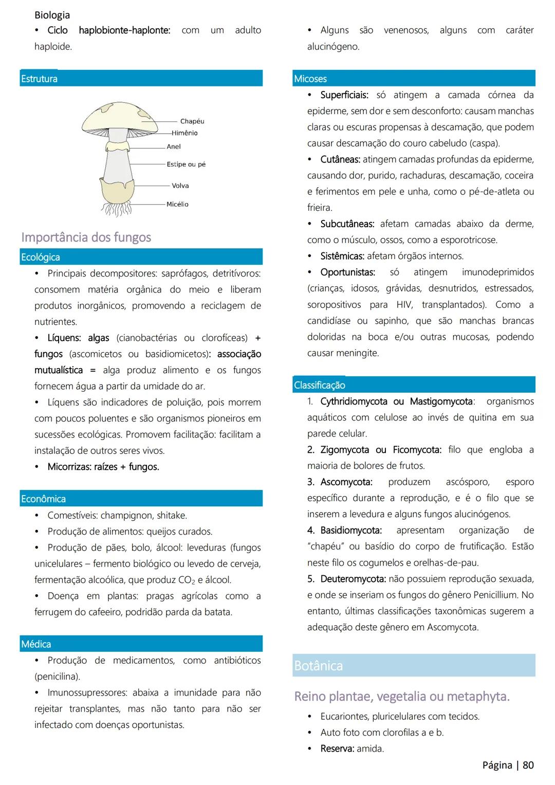 Biologia
Ácidos nucleicos
20
Sumário
RNA..
21
Introdução à biologia.
5
Ribossomos
22
Composição química.
.5
Engenharia genética.
22
Organiza