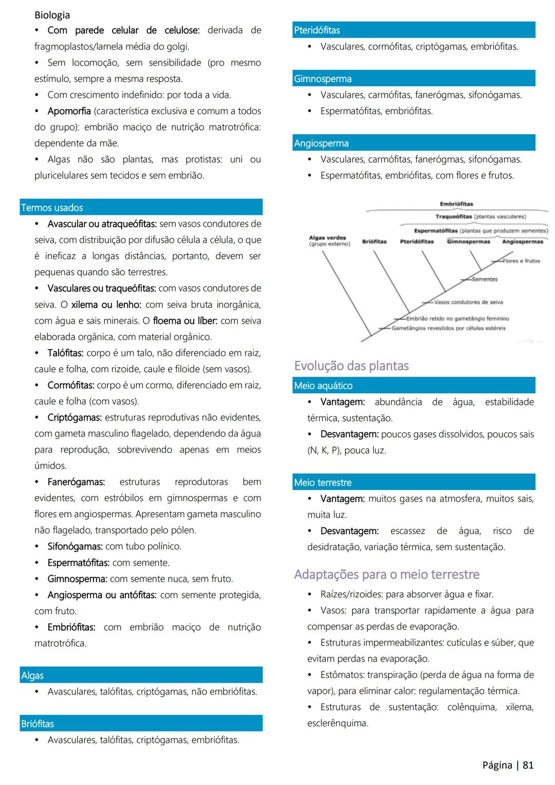 Biologia
Ácidos nucleicos
20
Sumário
RNA..
21
Introdução à biologia.
5
Ribossomos
22
Composição química.
.5
Engenharia genética.
22
Organiza