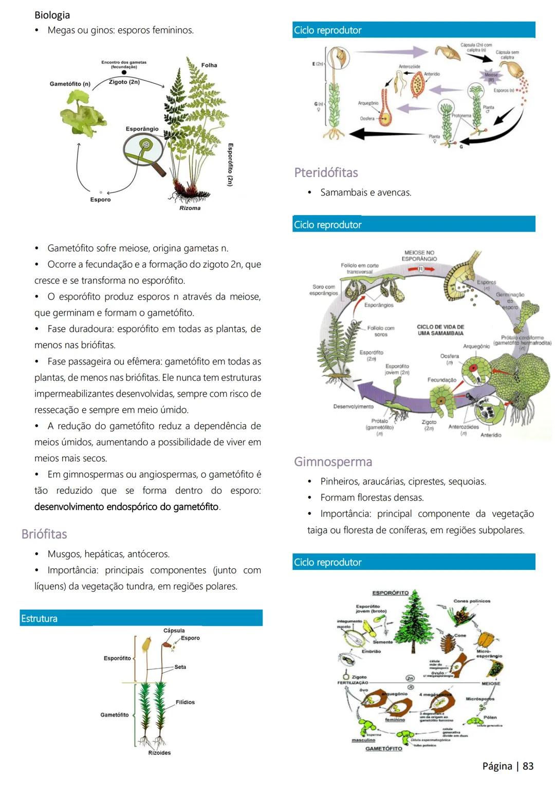Biologia
Ácidos nucleicos
20
Sumário
RNA..
21
Introdução à biologia.
5
Ribossomos
22
Composição química.
.5
Engenharia genética.
22
Organiza
