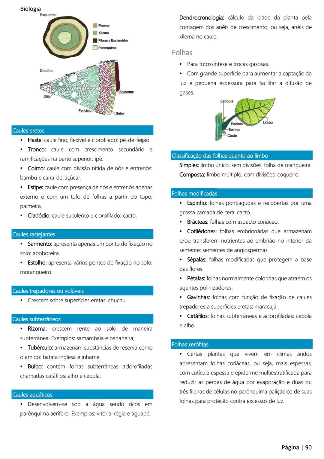 Biologia
Ácidos nucleicos
20
Sumário
RNA..
21
Introdução à biologia.
5
Ribossomos
22
Composição química.
.5
Engenharia genética.
22
Organiza