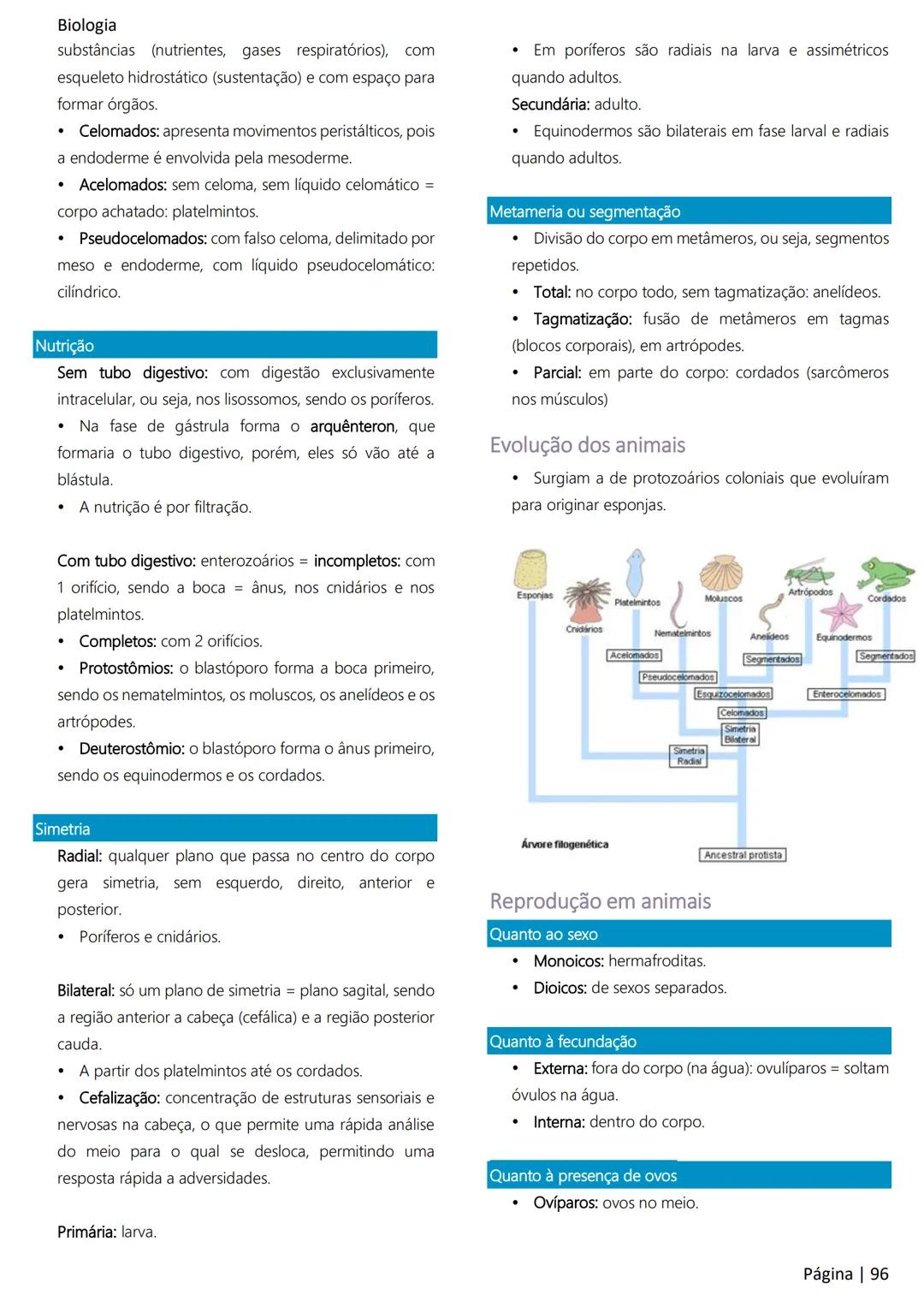Biologia
Ácidos nucleicos
20
Sumário
RNA..
21
Introdução à biologia.
5
Ribossomos
22
Composição química.
.5
Engenharia genética.
22
Organiza