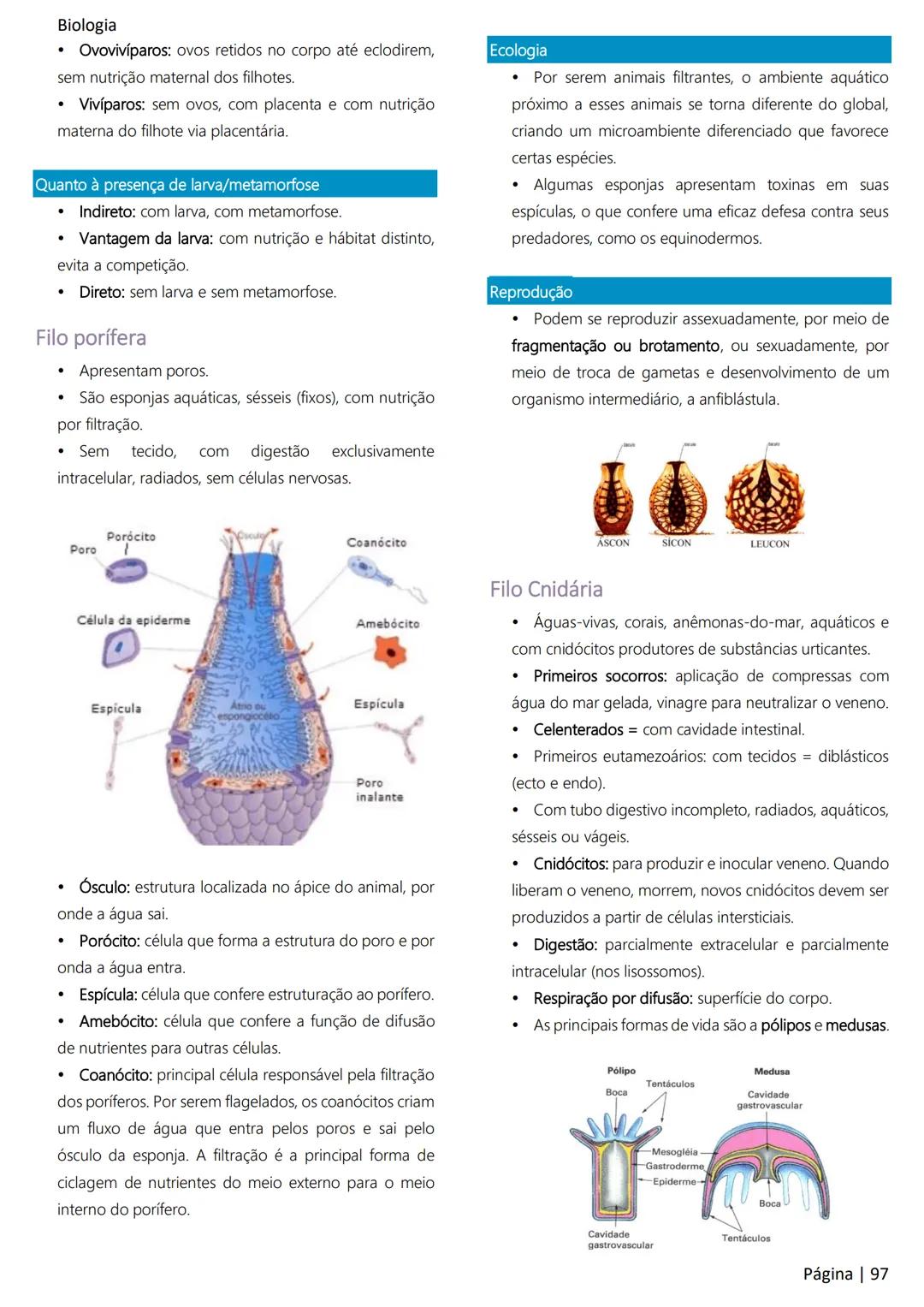 Biologia
Ácidos nucleicos
20
Sumário
RNA..
21
Introdução à biologia.
5
Ribossomos
22
Composição química.
.5
Engenharia genética.
22
Organiza