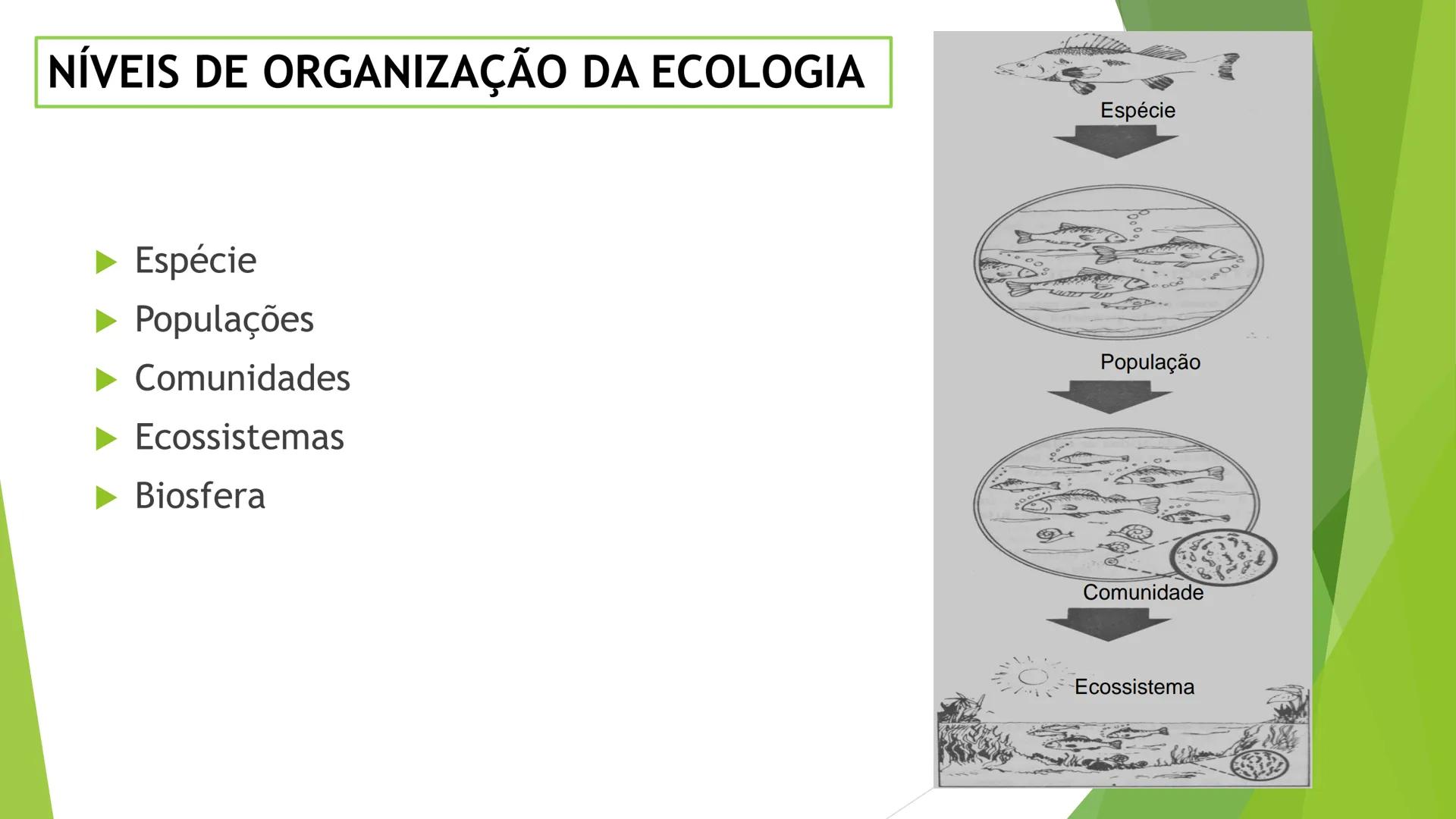 INSTITUTO FEDERAL DE
EDUCAÇÃO, CIÊNCIA E TECNOLOGIA
PARAÍBA
Campus Santa Rita
Fundamentos
de Ecologia
PROFA. FABIANA BEZERRA MARINHO • Vem d