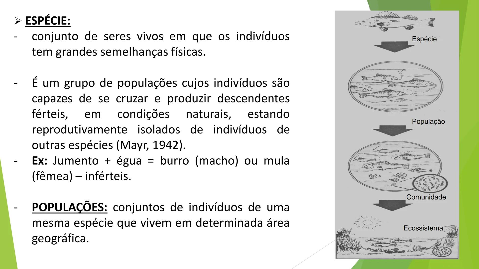 INSTITUTO FEDERAL DE
EDUCAÇÃO, CIÊNCIA E TECNOLOGIA
PARAÍBA
Campus Santa Rita
Fundamentos
de Ecologia
PROFA. FABIANA BEZERRA MARINHO • Vem d