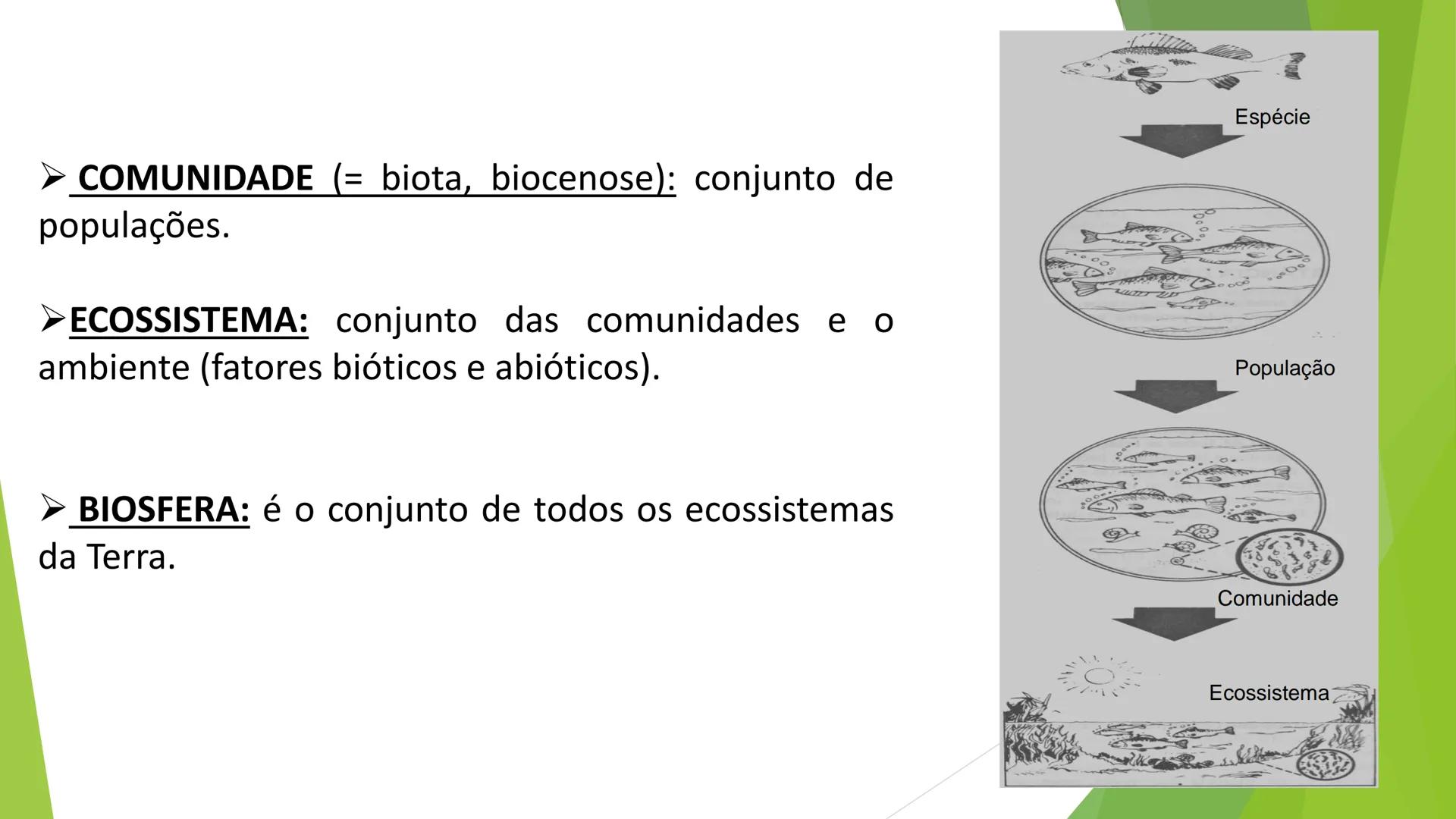 INSTITUTO FEDERAL DE
EDUCAÇÃO, CIÊNCIA E TECNOLOGIA
PARAÍBA
Campus Santa Rita
Fundamentos
de Ecologia
PROFA. FABIANA BEZERRA MARINHO • Vem d