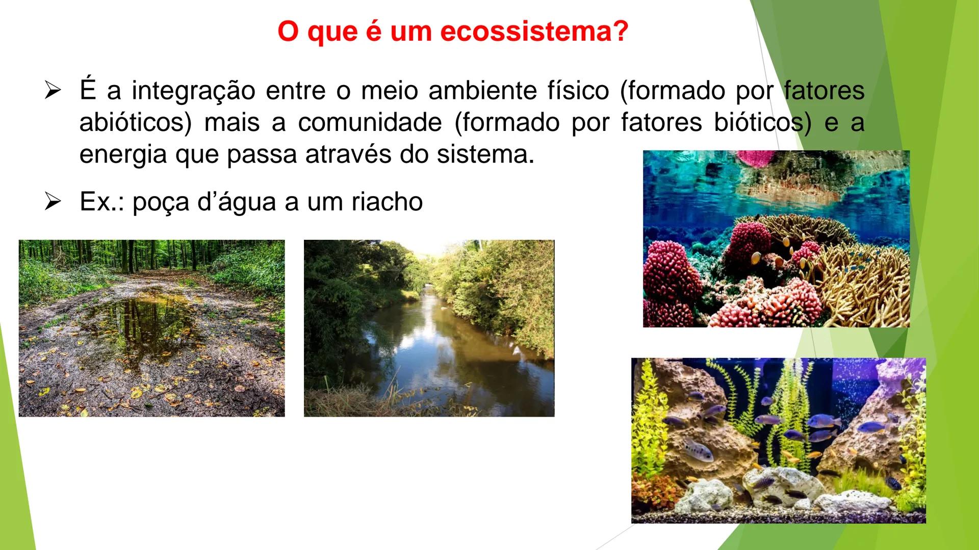 INSTITUTO FEDERAL DE
EDUCAÇÃO, CIÊNCIA E TECNOLOGIA
PARAÍBA
Campus Santa Rita
Fundamentos
de Ecologia
PROFA. FABIANA BEZERRA MARINHO • Vem d