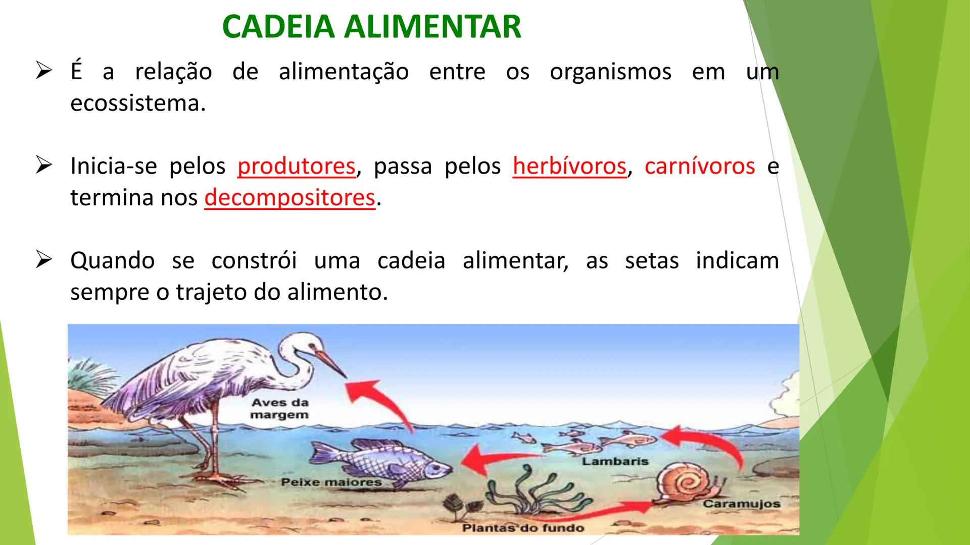 INSTITUTO FEDERAL DE
EDUCAÇÃO, CIÊNCIA E TECNOLOGIA
PARAÍBA
Campus Santa Rita
Fundamentos
de Ecologia
PROFA. FABIANA BEZERRA MARINHO • Vem d