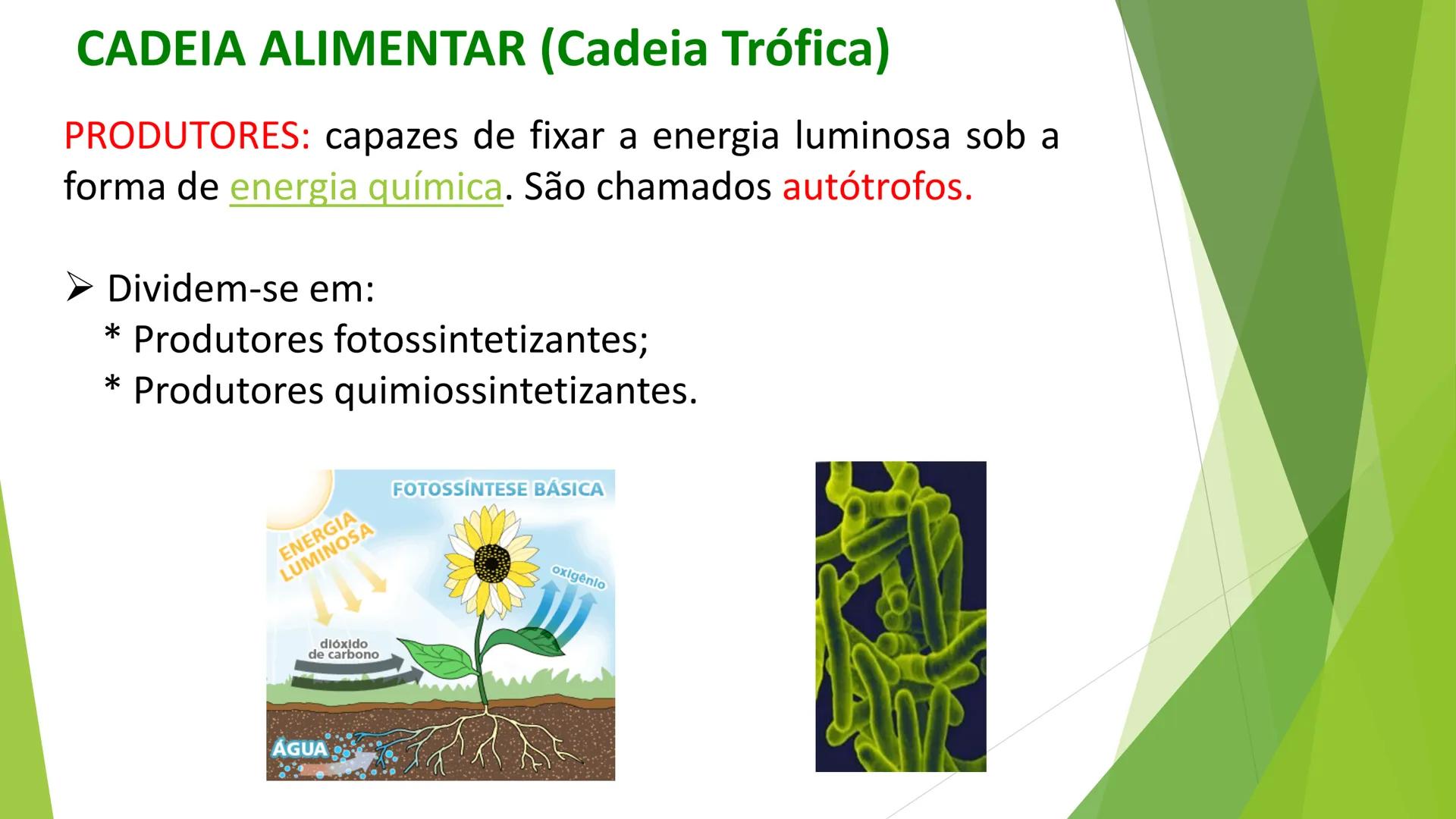 INSTITUTO FEDERAL DE
EDUCAÇÃO, CIÊNCIA E TECNOLOGIA
PARAÍBA
Campus Santa Rita
Fundamentos
de Ecologia
PROFA. FABIANA BEZERRA MARINHO • Vem d