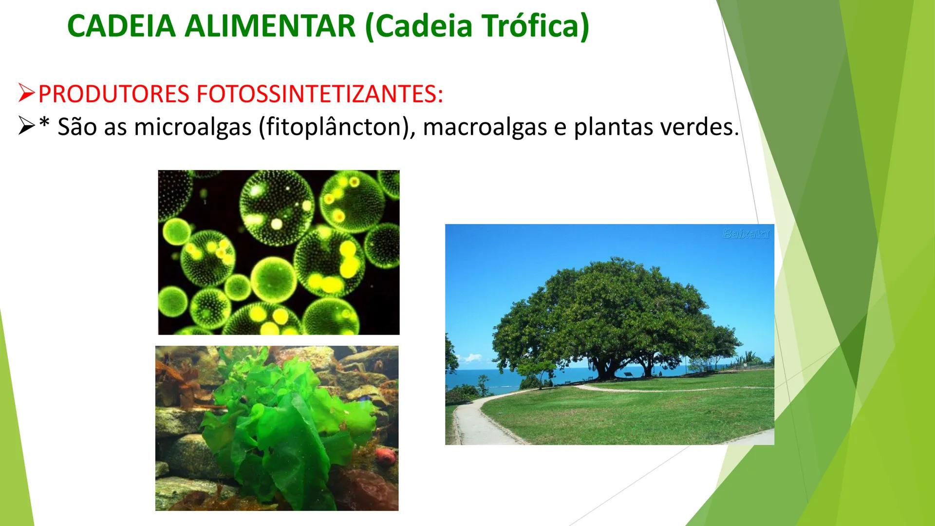 INSTITUTO FEDERAL DE
EDUCAÇÃO, CIÊNCIA E TECNOLOGIA
PARAÍBA
Campus Santa Rita
Fundamentos
de Ecologia
PROFA. FABIANA BEZERRA MARINHO • Vem d