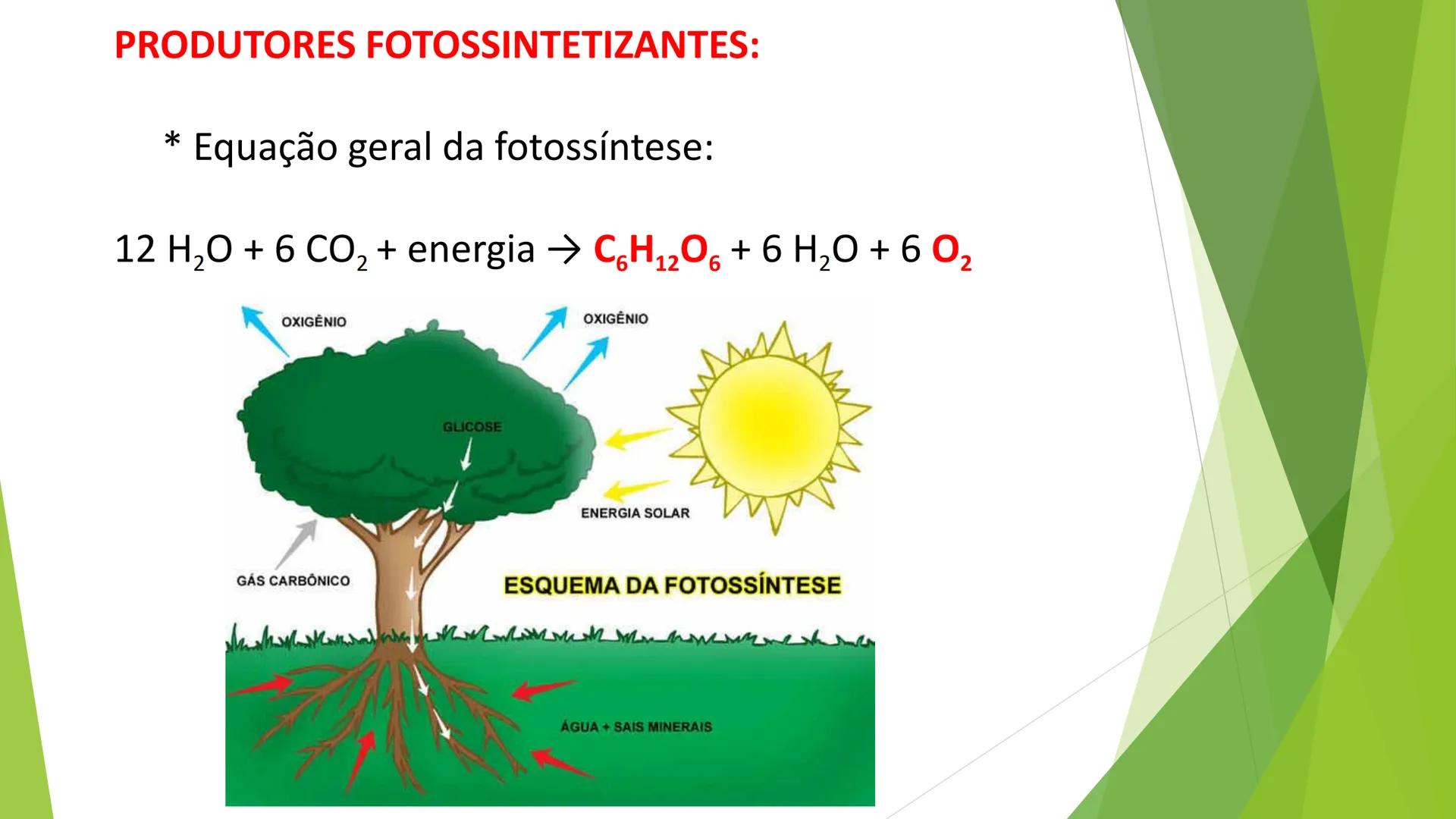 INSTITUTO FEDERAL DE
EDUCAÇÃO, CIÊNCIA E TECNOLOGIA
PARAÍBA
Campus Santa Rita
Fundamentos
de Ecologia
PROFA. FABIANA BEZERRA MARINHO • Vem d