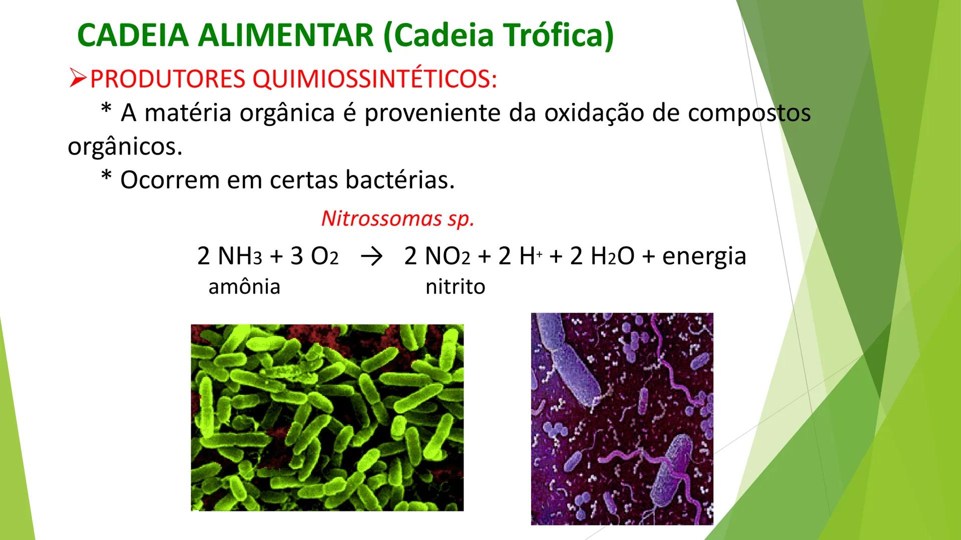 INSTITUTO FEDERAL DE
EDUCAÇÃO, CIÊNCIA E TECNOLOGIA
PARAÍBA
Campus Santa Rita
Fundamentos
de Ecologia
PROFA. FABIANA BEZERRA MARINHO • Vem d