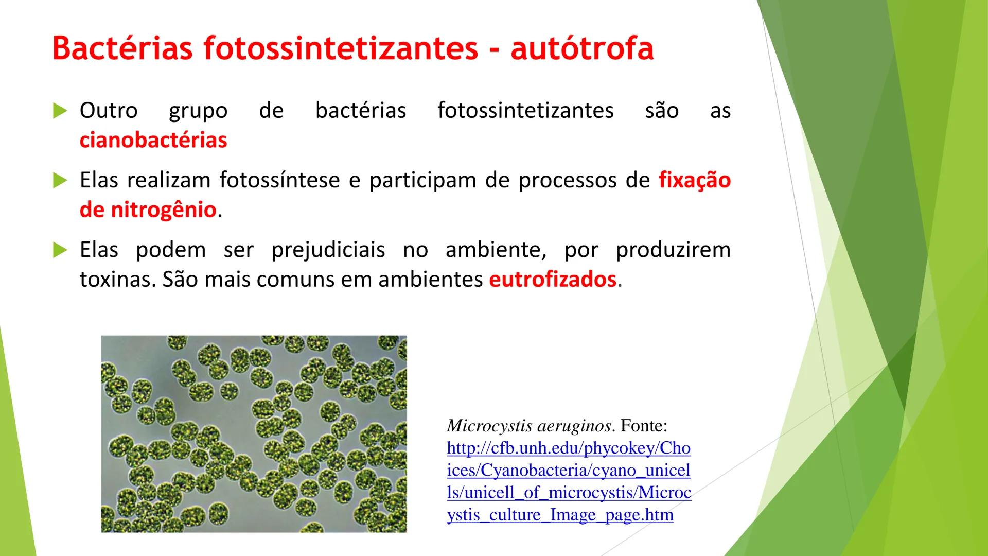 INSTITUTO FEDERAL DE
EDUCAÇÃO, CIÊNCIA E TECNOLOGIA
PARAÍBA
Campus Santa Rita
Fundamentos
de Ecologia
PROFA. FABIANA BEZERRA MARINHO • Vem d