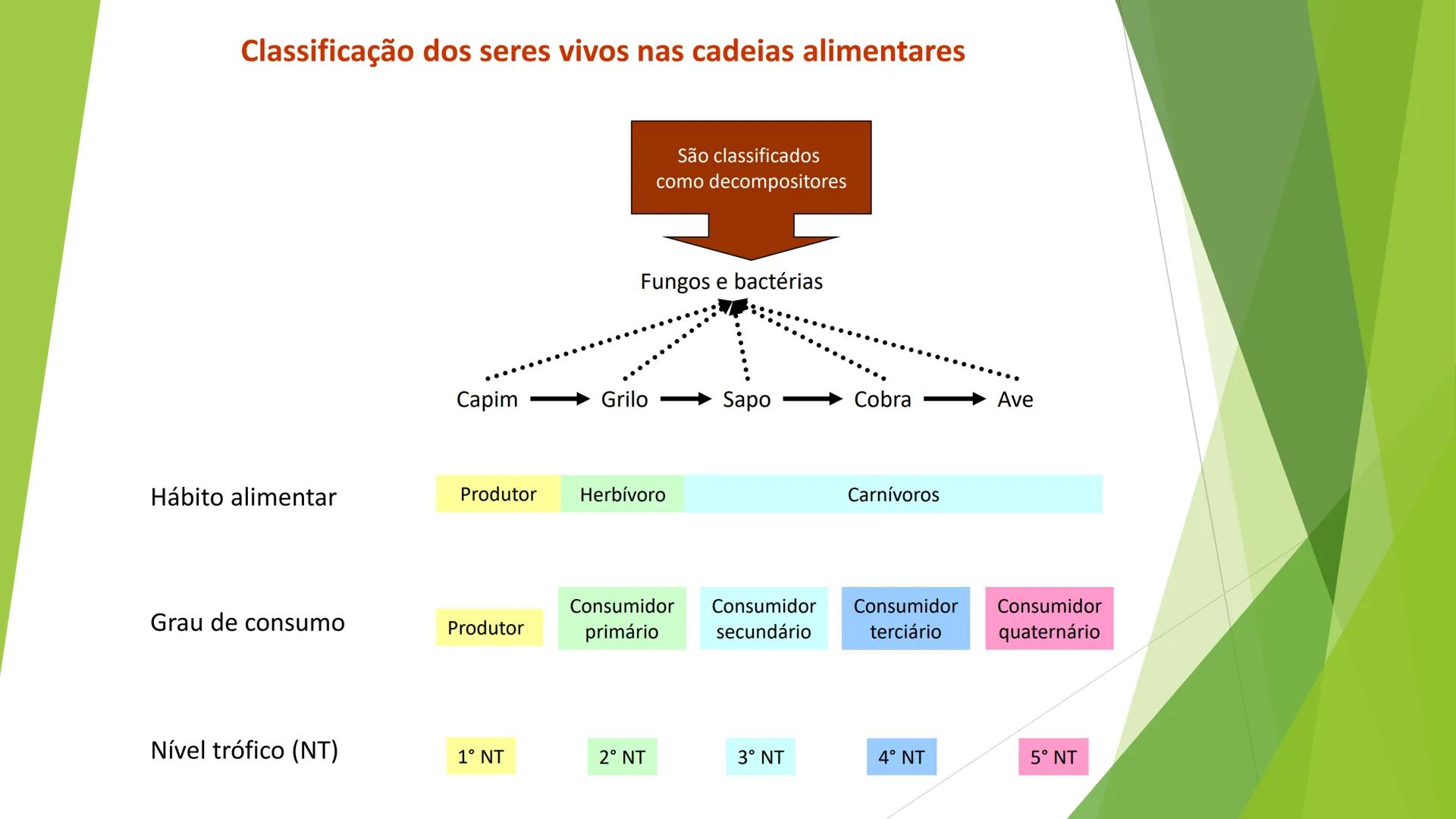INSTITUTO FEDERAL DE
EDUCAÇÃO, CIÊNCIA E TECNOLOGIA
PARAÍBA
Campus Santa Rita
Fundamentos
de Ecologia
PROFA. FABIANA BEZERRA MARINHO • Vem d