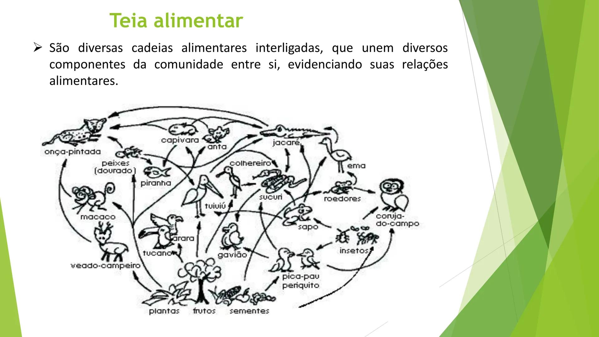 INSTITUTO FEDERAL DE
EDUCAÇÃO, CIÊNCIA E TECNOLOGIA
PARAÍBA
Campus Santa Rita
Fundamentos
de Ecologia
PROFA. FABIANA BEZERRA MARINHO • Vem d