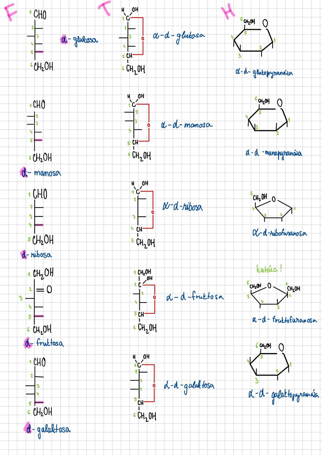 --- OCR Start ---
Sacharidy
polyhydroxysloučeniny obsahujići karbonylovou (keto/abdo) skupinu
jejich deriváty jsou přítomny ve všech organis
