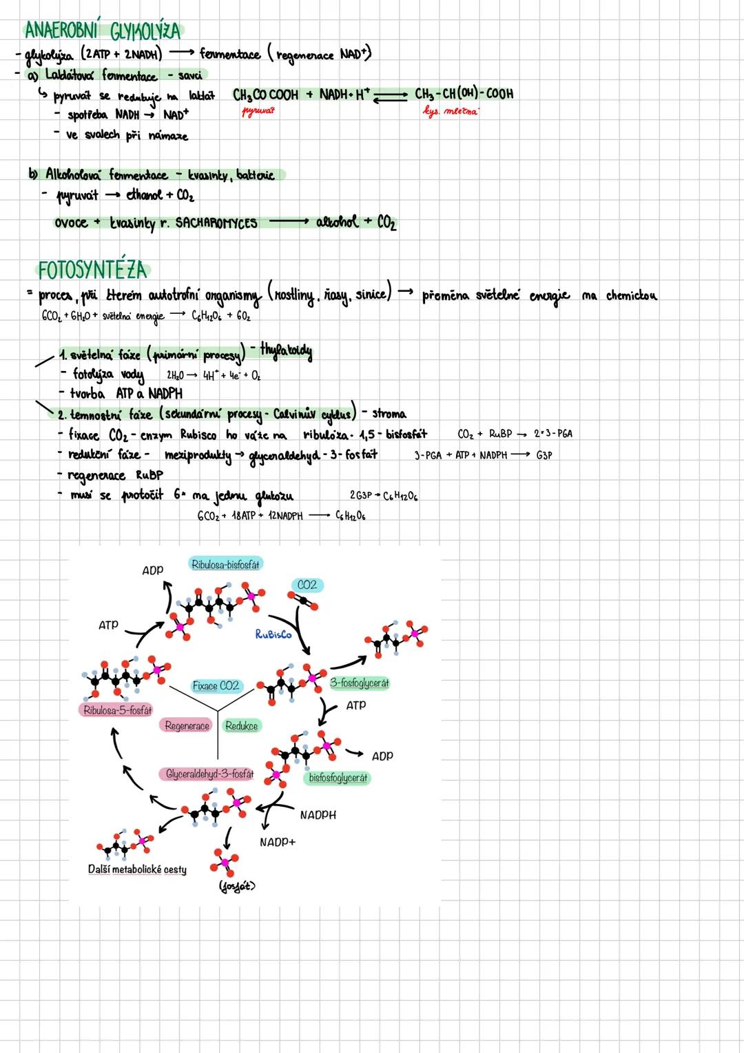--- OCR Start ---
Sacharidy
polyhydroxysloučeniny obsahujići karbonylovou (keto/abdo) skupinu
jejich deriváty jsou přítomny ve všech organis