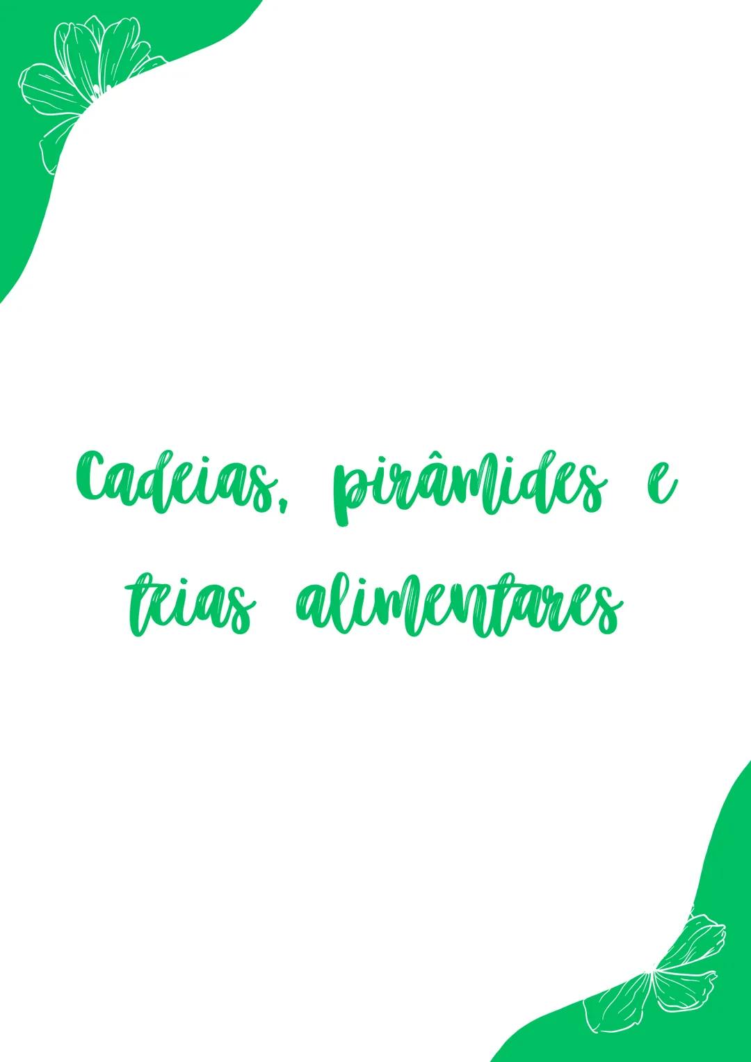 Cadeias, pirâmides e
teias alimentares São relações alimentares, os alimentos são, de certa forma, presos
uns aos outros a fim de garantir s