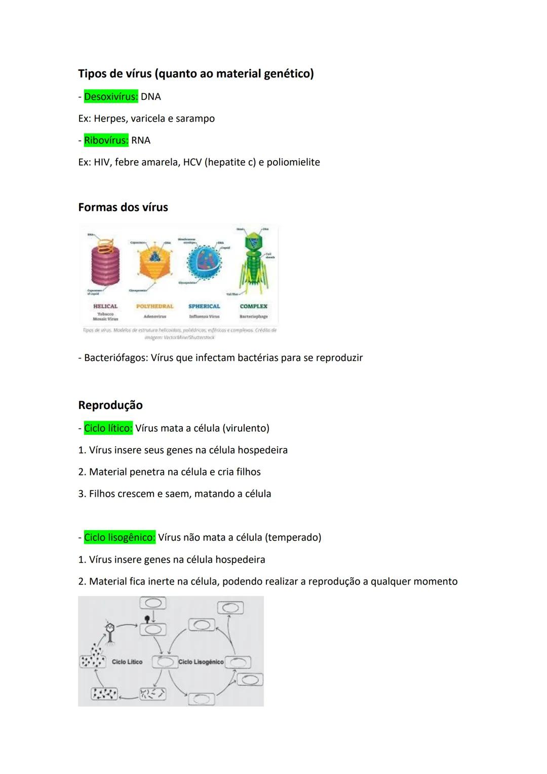 Vírus
- Palavra derivada do latim que significa veneno
Características
- Acelulares (não possuem células)
- Parasitas intracelulares obrig