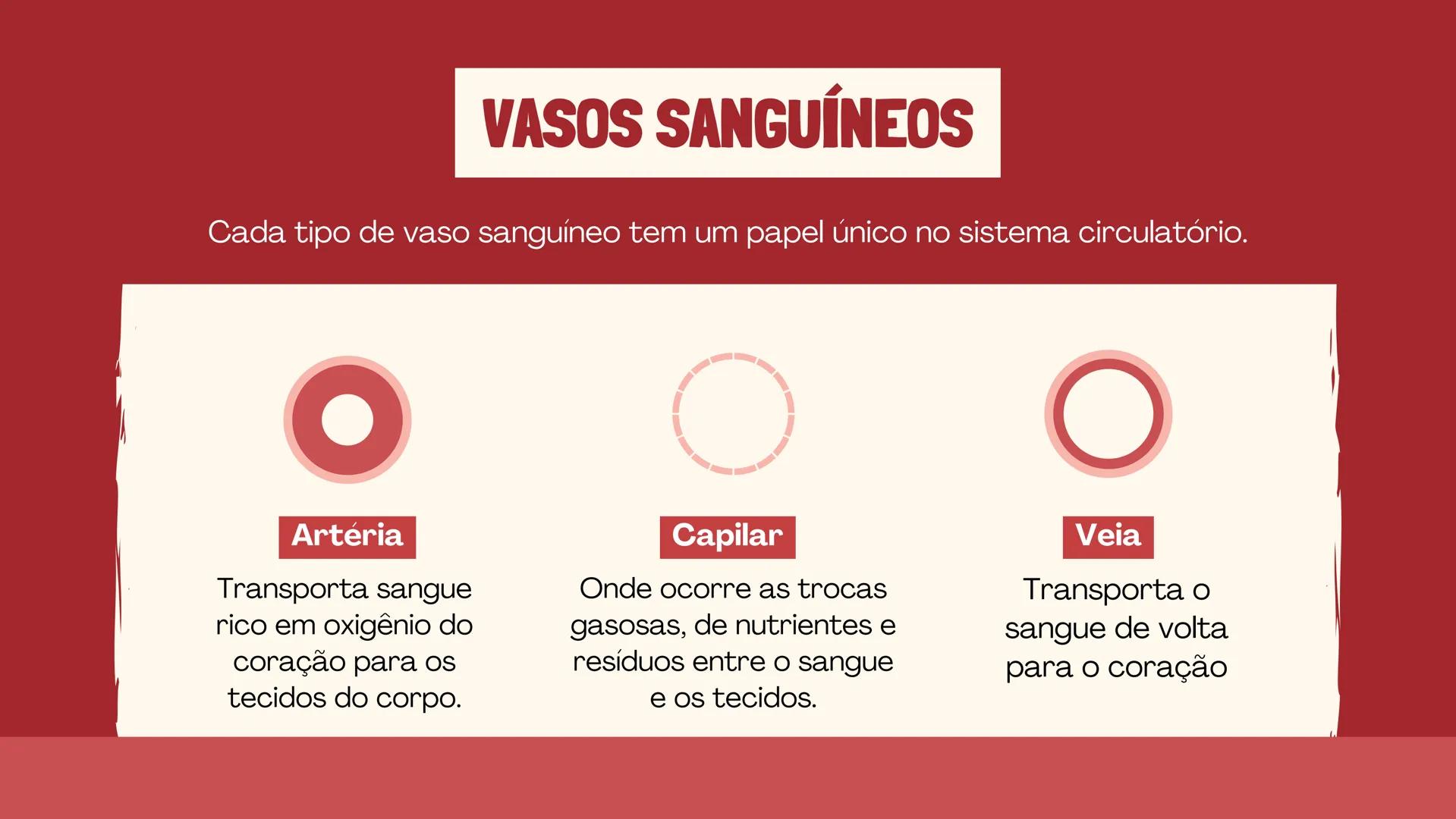 # INSTITUTO
# FEDERAL
Sul-rio-grandense
Câmpus
Lajeado
# O SISTEMA
# CIRCULATÓRIO:
Amanda, Maria Eduarda, Gabriel
Tamiosso e Gabriela Bone