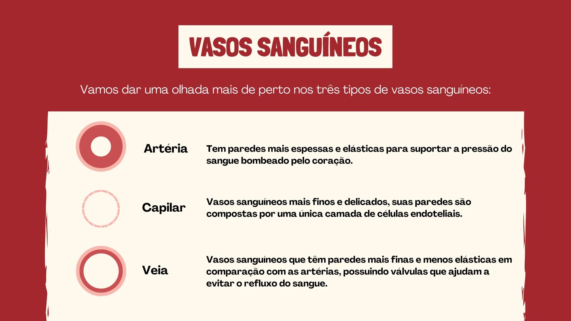 # INSTITUTO
# FEDERAL
Sul-rio-grandense
Câmpus
Lajeado
# O SISTEMA
# CIRCULATÓRIO:
Amanda, Maria Eduarda, Gabriel
Tamiosso e Gabriela Bone