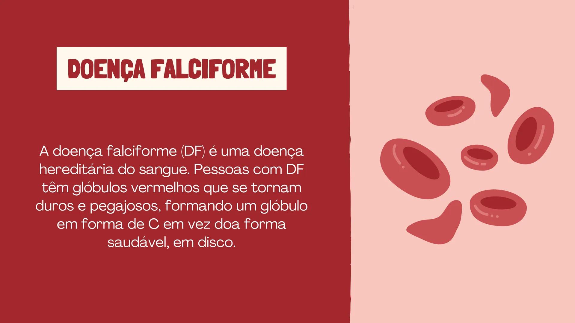 # INSTITUTO
# FEDERAL
Sul-rio-grandense
Câmpus
Lajeado
# O SISTEMA
# CIRCULATÓRIO:
Amanda, Maria Eduarda, Gabriel
Tamiosso e Gabriela Bone