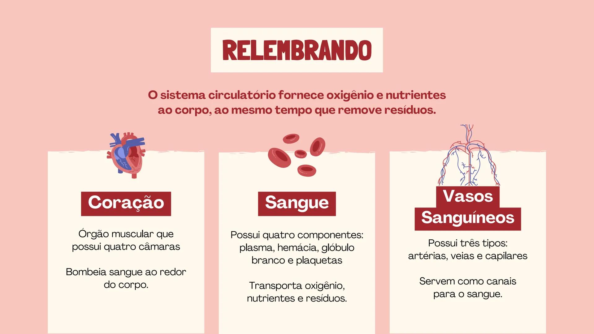 # INSTITUTO
# FEDERAL
Sul-rio-grandense
Câmpus
Lajeado
# O SISTEMA
# CIRCULATÓRIO:
Amanda, Maria Eduarda, Gabriel
Tamiosso e Gabriela Bone