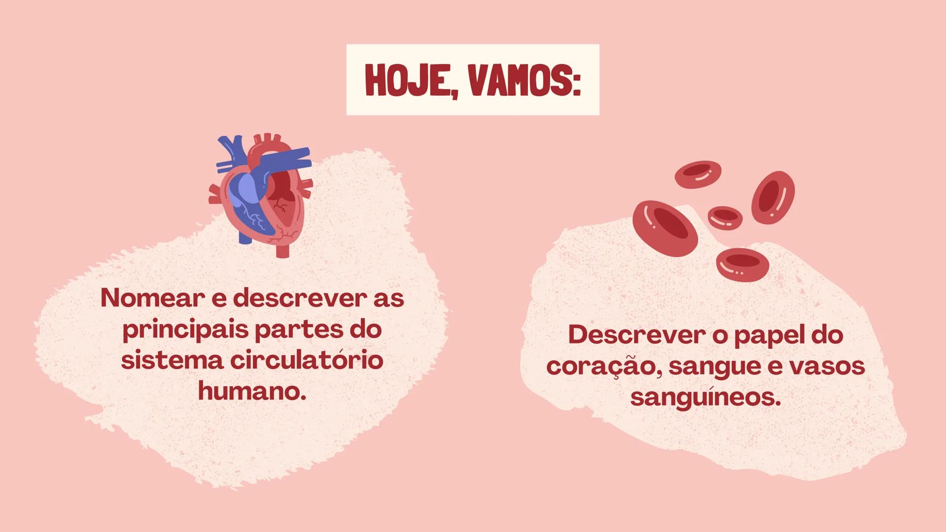 # INSTITUTO
# FEDERAL
Sul-rio-grandense
Câmpus
Lajeado
# O SISTEMA
# CIRCULATÓRIO:
Amanda, Maria Eduarda, Gabriel
Tamiosso e Gabriela Bone