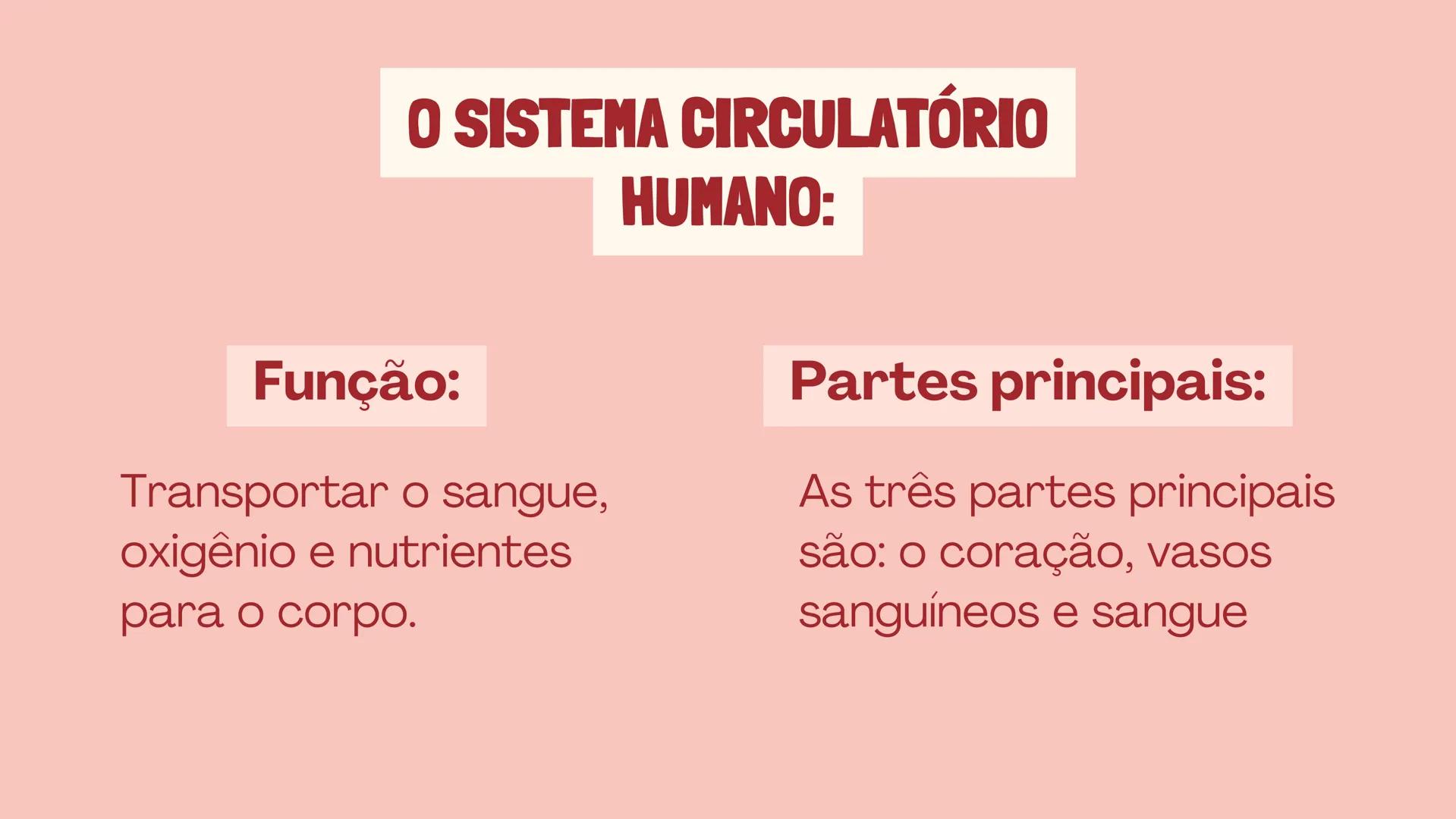 # INSTITUTO
# FEDERAL
Sul-rio-grandense
Câmpus
Lajeado
# O SISTEMA
# CIRCULATÓRIO:
Amanda, Maria Eduarda, Gabriel
Tamiosso e Gabriela Bone