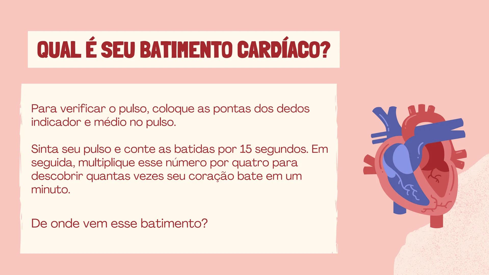 # INSTITUTO
# FEDERAL
Sul-rio-grandense
Câmpus
Lajeado
# O SISTEMA
# CIRCULATÓRIO:
Amanda, Maria Eduarda, Gabriel
Tamiosso e Gabriela Bone
