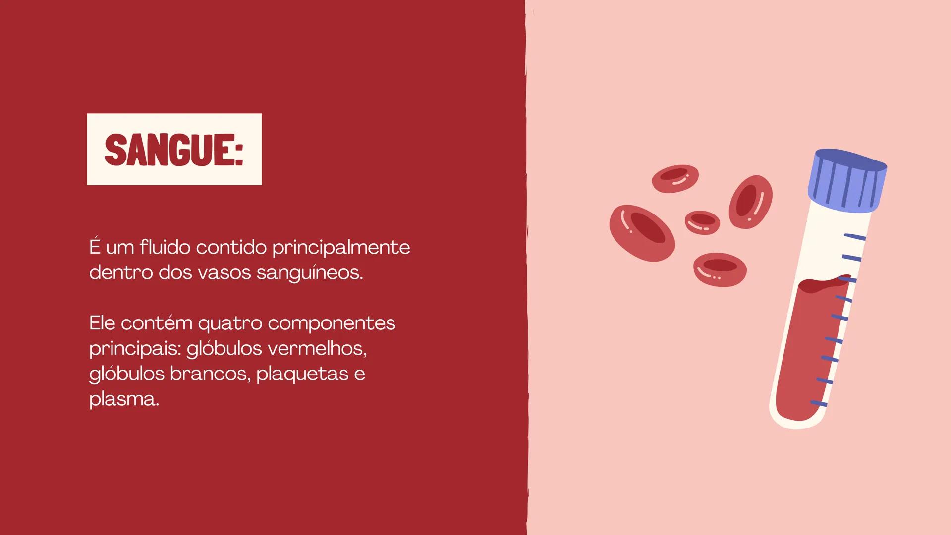 # INSTITUTO
# FEDERAL
Sul-rio-grandense
Câmpus
Lajeado
# O SISTEMA
# CIRCULATÓRIO:
Amanda, Maria Eduarda, Gabriel
Tamiosso e Gabriela Bone