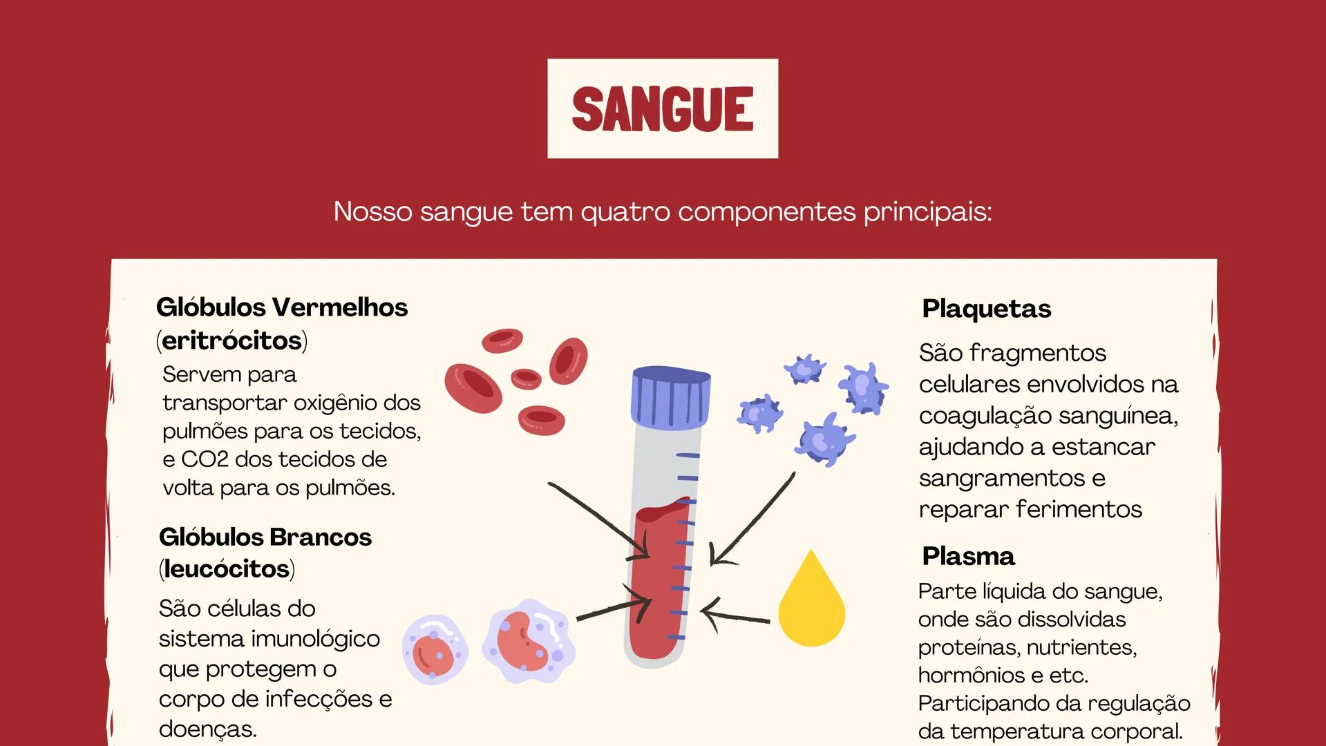 # INSTITUTO
# FEDERAL
Sul-rio-grandense
Câmpus
Lajeado
# O SISTEMA
# CIRCULATÓRIO:
Amanda, Maria Eduarda, Gabriel
Tamiosso e Gabriela Bone