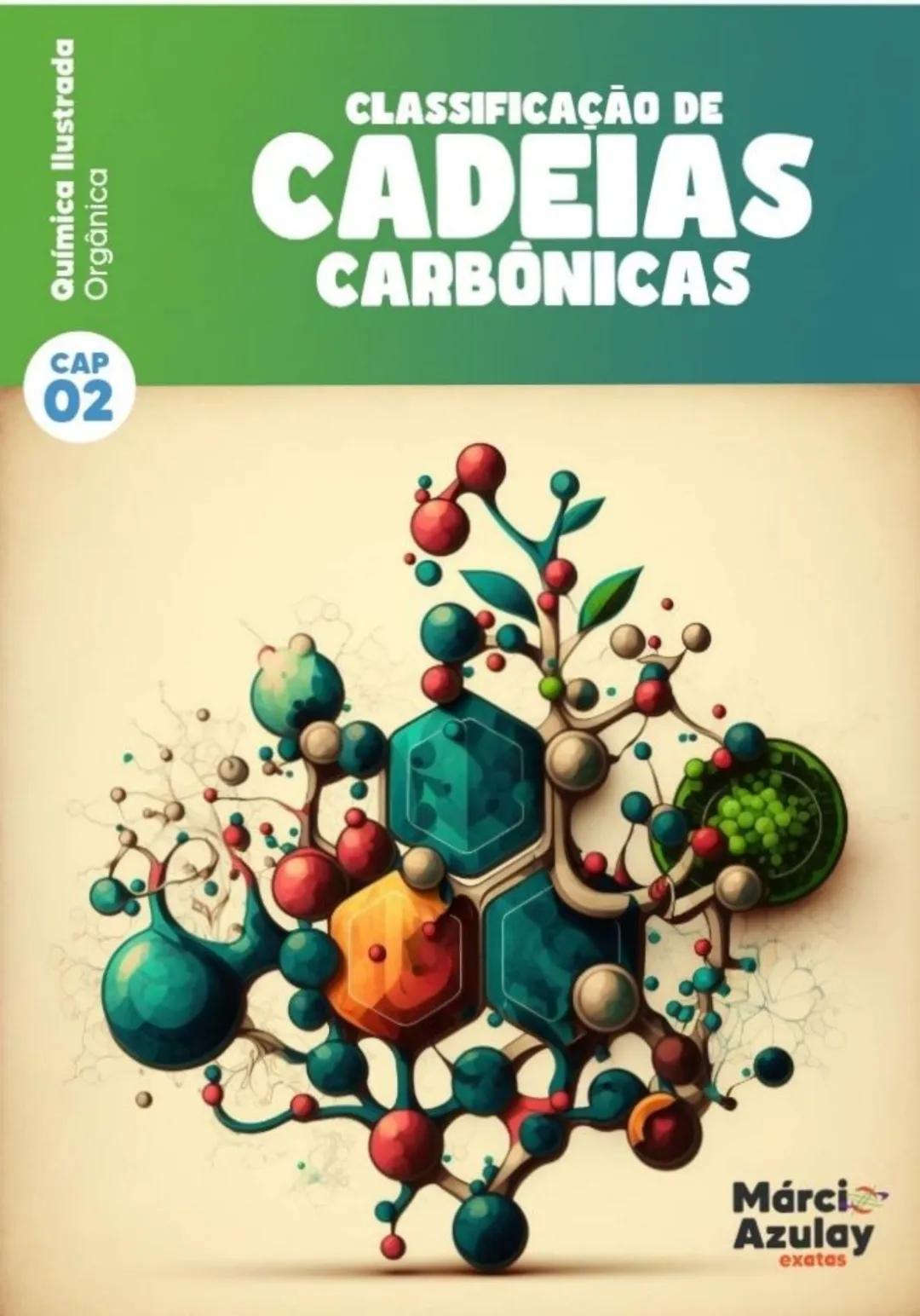 Química Ilustrada
SUMARIO Quimica Organica
1ª Edição. 2023
03 Introdução a Orgânica
11 Carbonos e Cadeias
19 Hidrocarbonetos
29 Ramificações