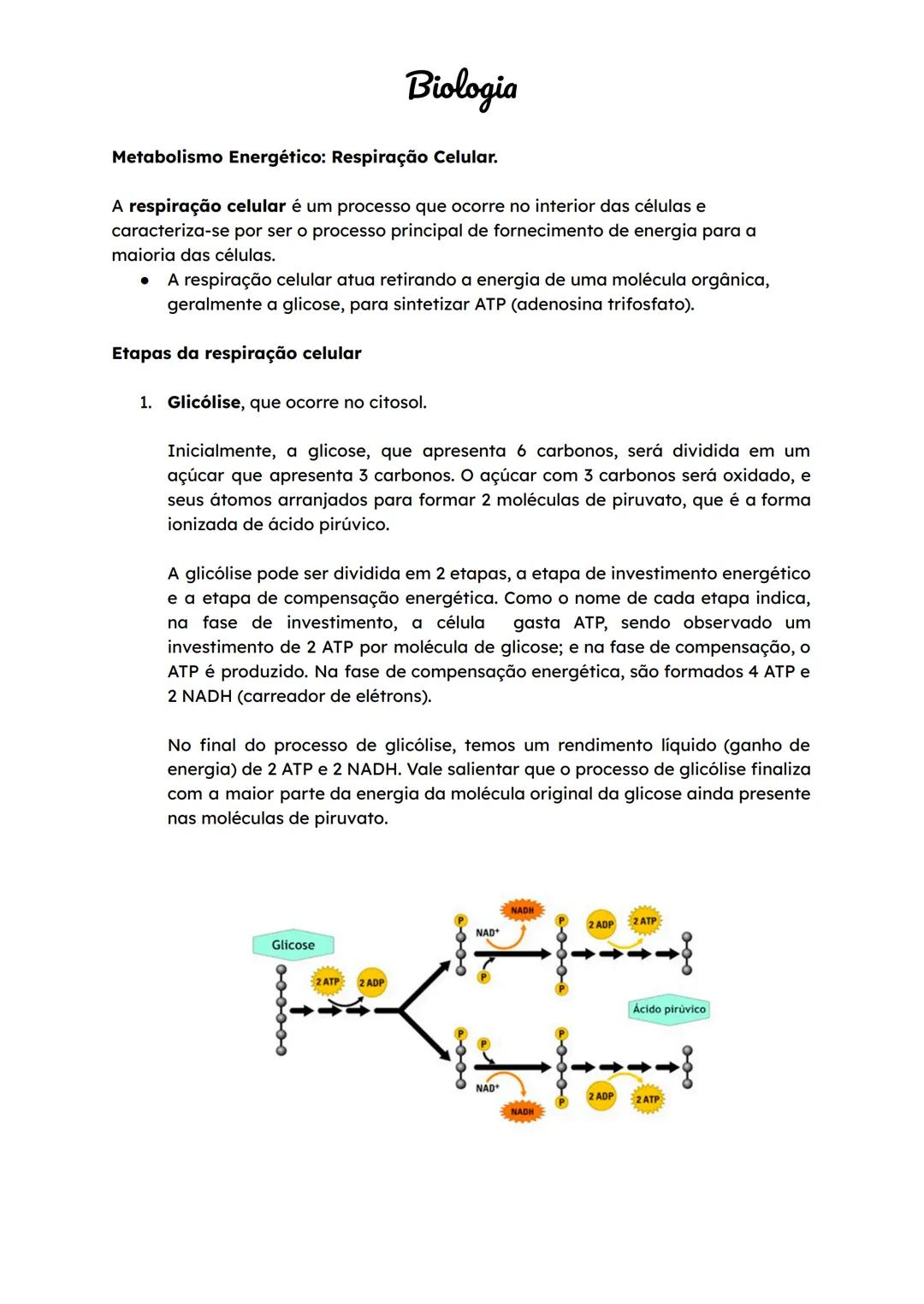BNCC
Biologia
Constituição Celular
Não pare agora... Tem mais depois da publicidade ;)
→ Células são as unidades estruturais e funcionais do