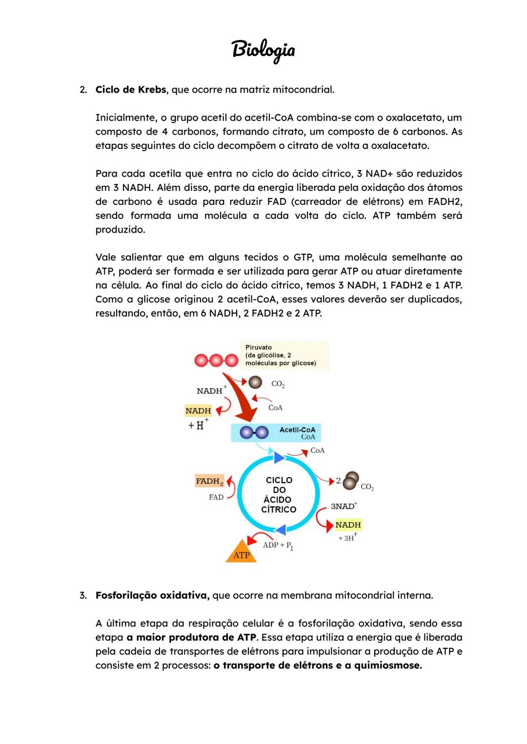 BNCC
Biologia
Constituição Celular
Não pare agora... Tem mais depois da publicidade ;)
→ Células são as unidades estruturais e funcionais do