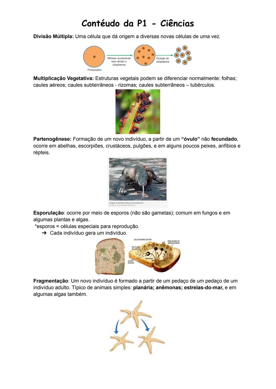 ## Contéudo da P1 - Ciências
Introdução: Ciclo de Vida e Classificação dos Seres Vivos
Reprodução: um processo através do qual os seres viv
