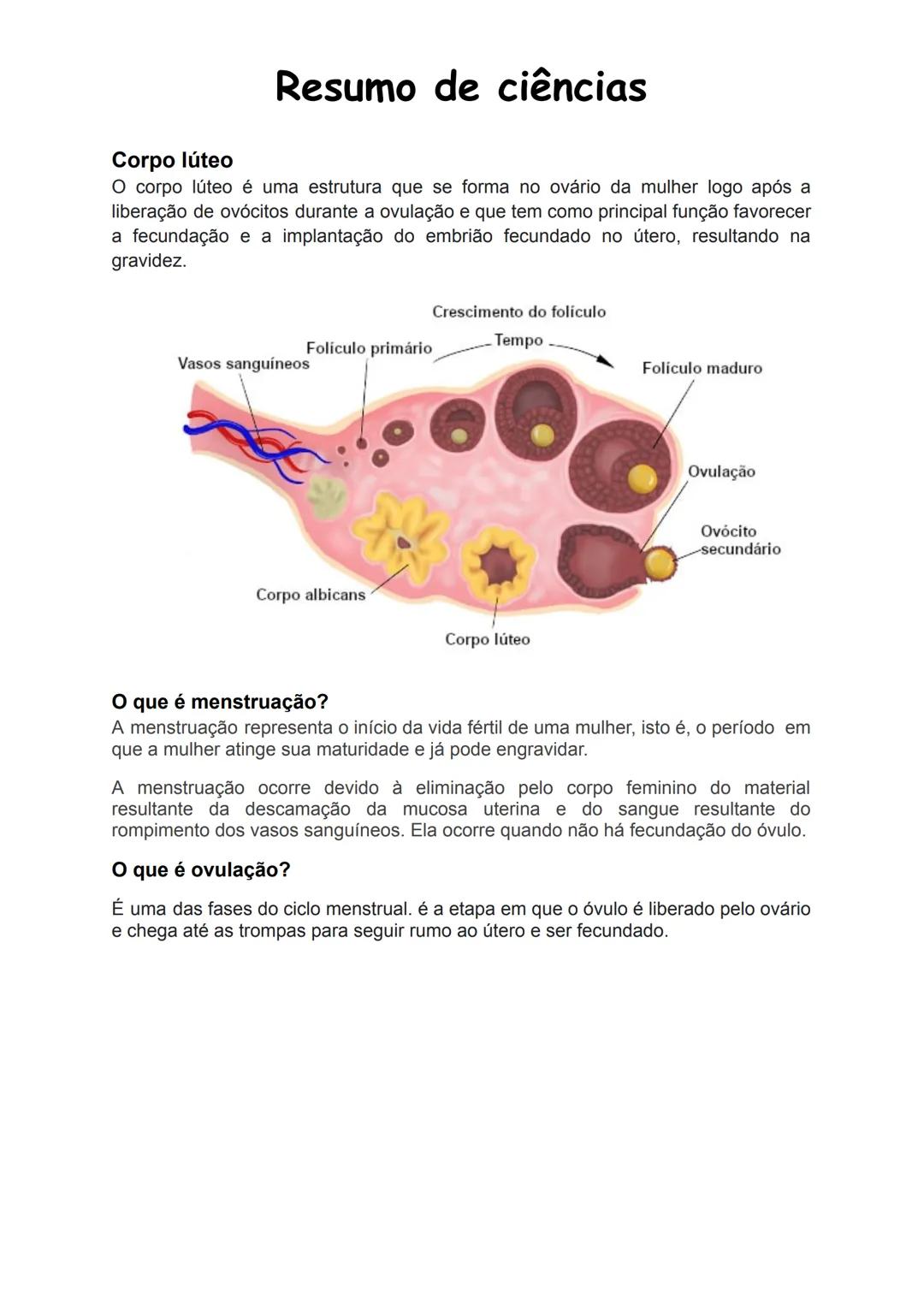 Resumo de ciências
Sistema Reprodutor Masculino:
Bexiga
Ureter
Bexiga
Ureter
Canal
deferente
Pênis
Reto
Vesicula
seminal
Próstata
Canal
defe